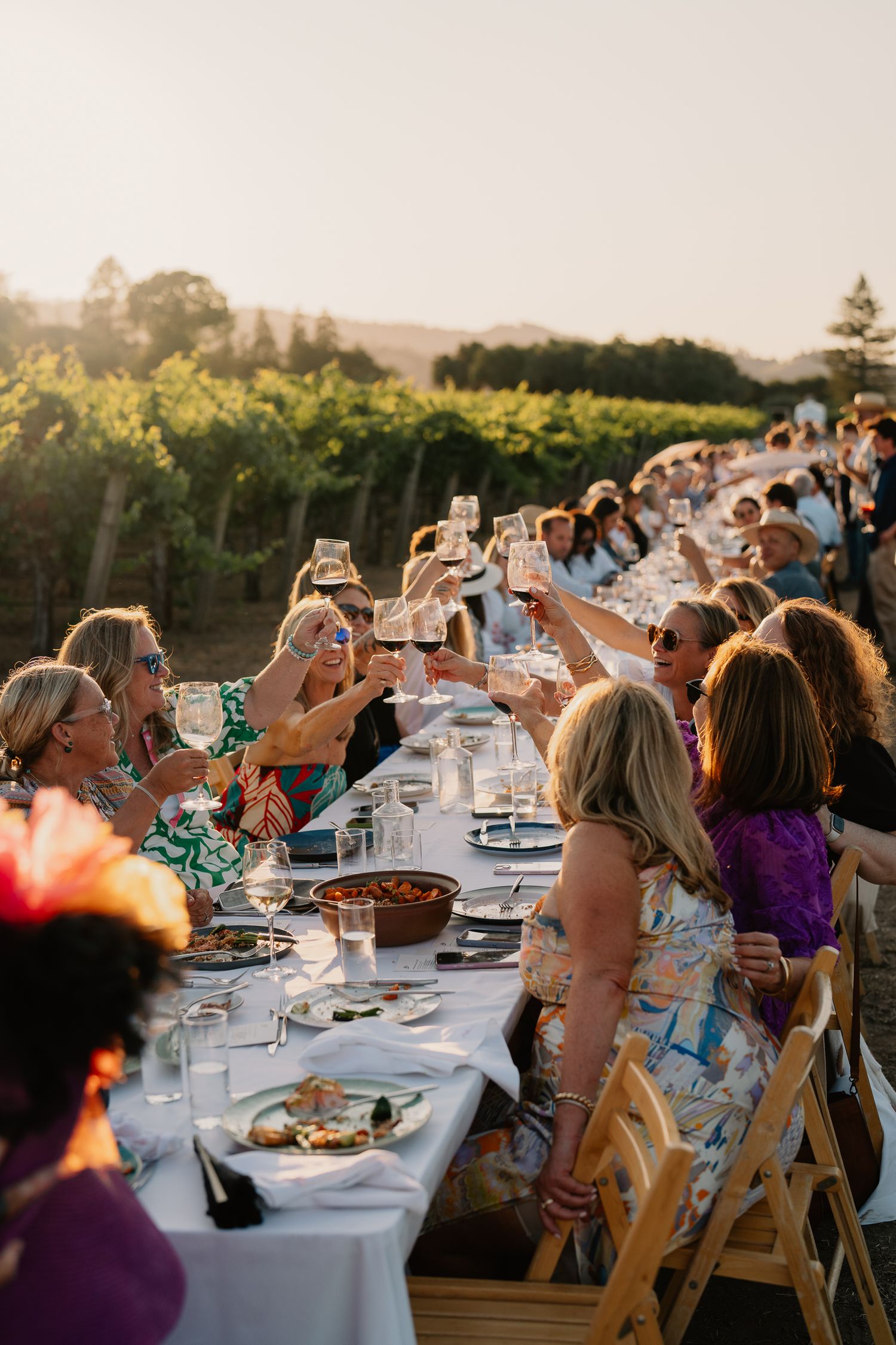 Guests toast and dine at a long outdoor table set among vineyard rows during sunset.