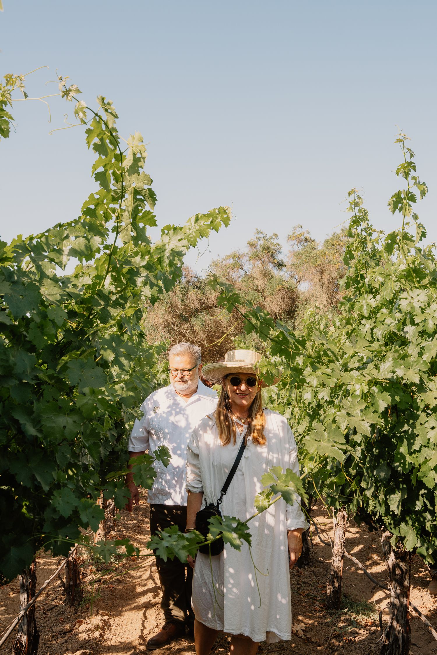 Visitors explore the vineyard rows while taking photos among lush green grapevines on a bright summer day.