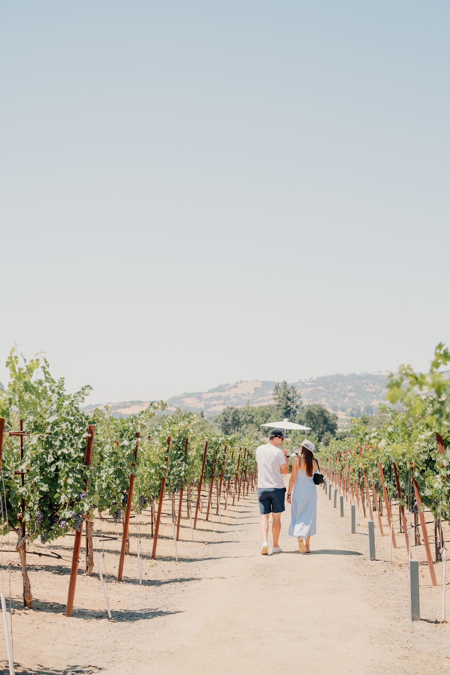 Couple walking hand-in-hand through sunny vineyard rows with rolling hills in the background on a clear day.