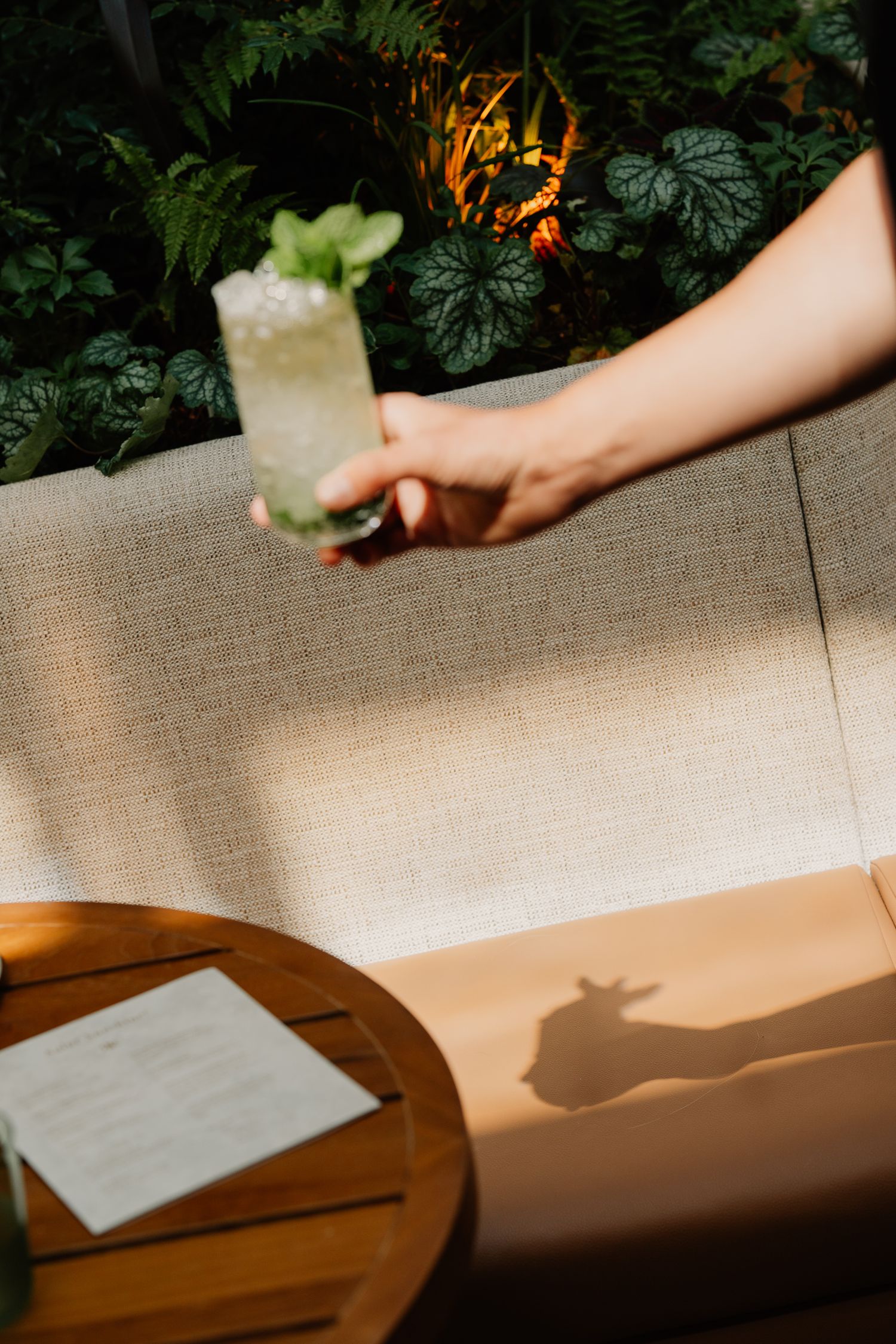 A hand holding a garnished cocktail against lush greenery with dramatic lighting and shadows.