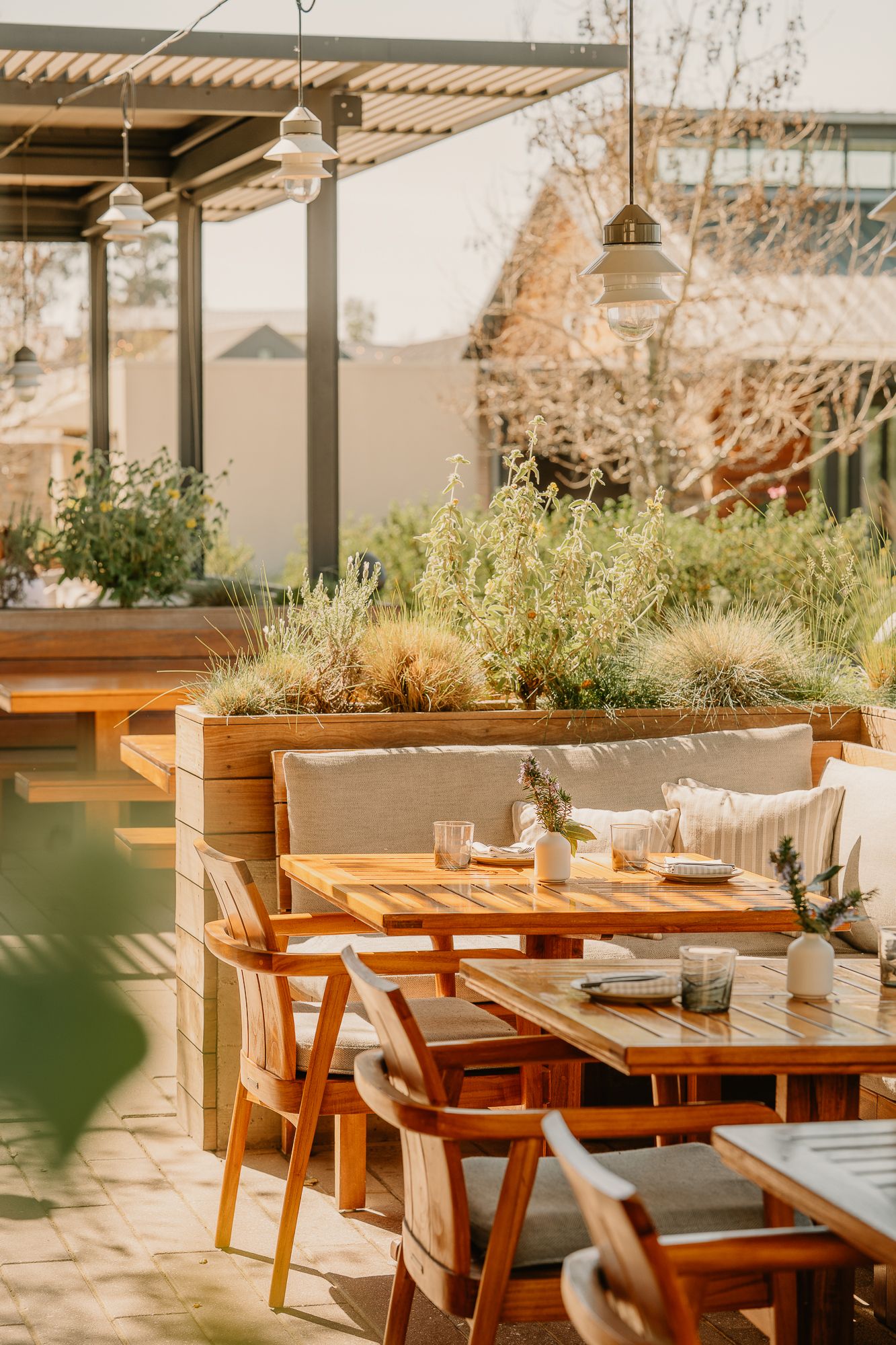 Sunlit outdoor restaurant patio with wooden tables and benches surrounded by potted plants and pergola shade.