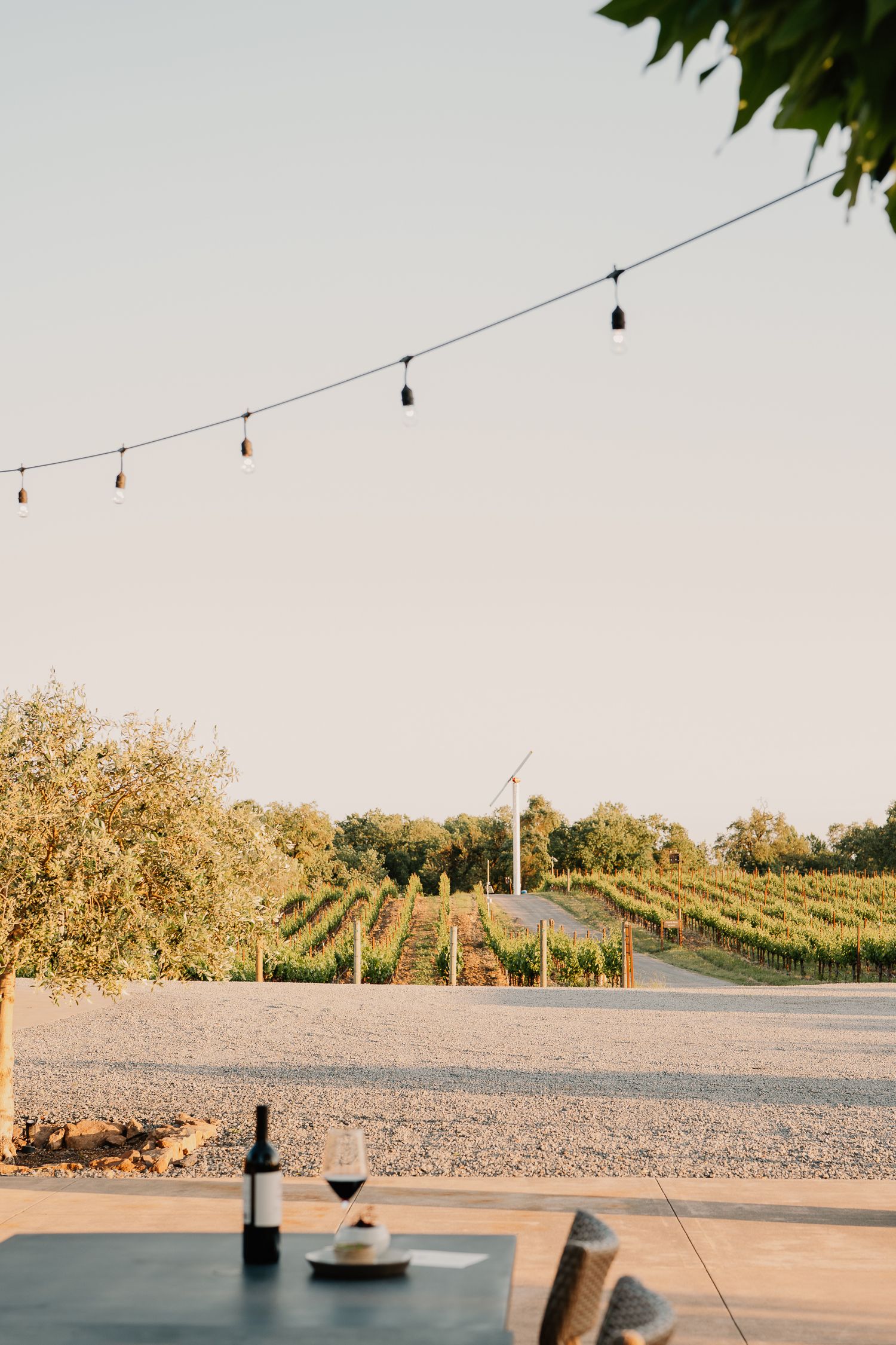 String lights hang over a vineyard patio with a wine bottle and glass against a sunset sky.