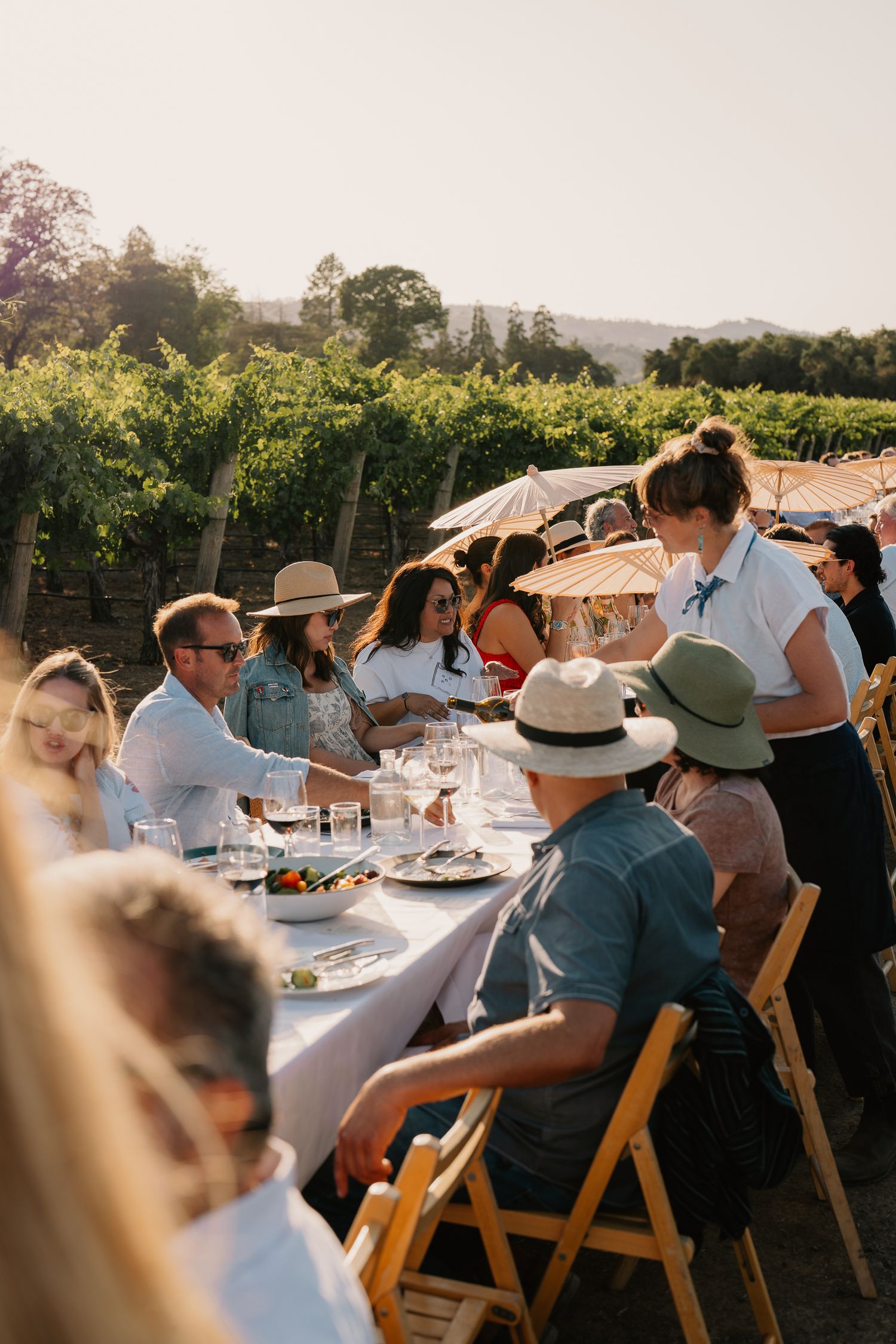 Guests enjoying a wine tasting event at long tables set between rows of grapevines.