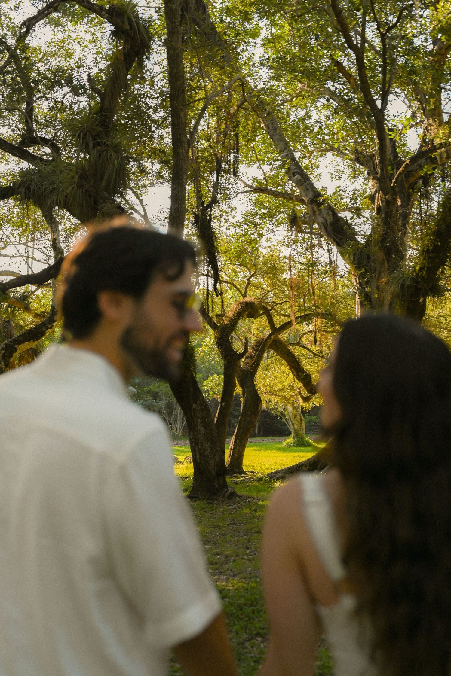 Romantic couple sharing an intimate moment on a blanket under trees in golden afternoon sunlight.