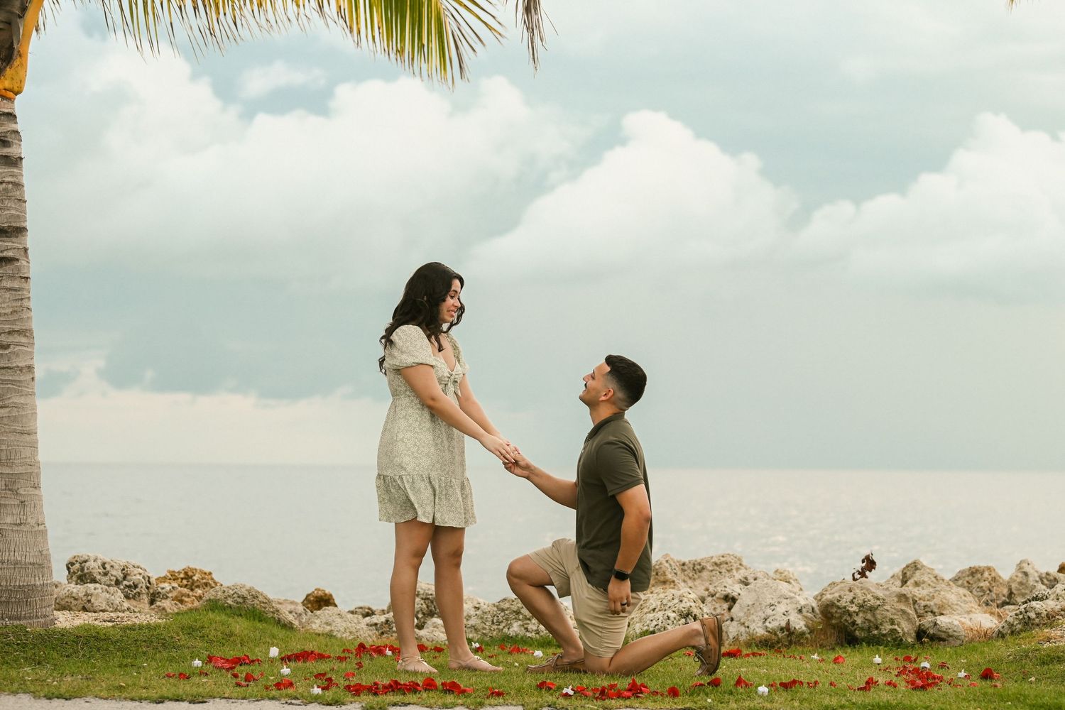 A romantic proposal scene unfolds on a tropical cliff with palm trees and ocean views.