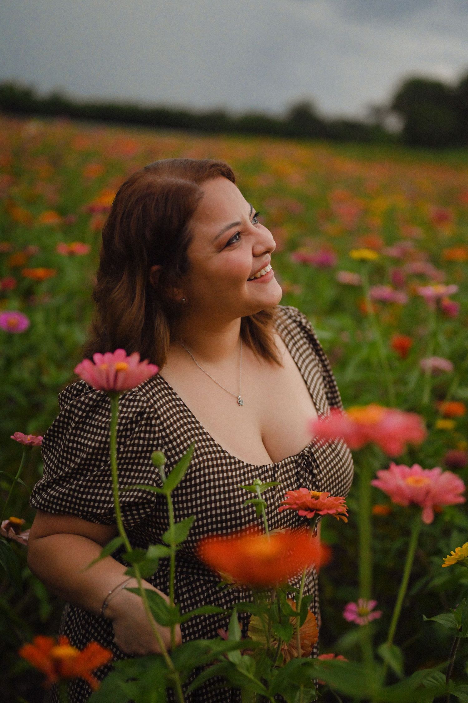 Colorful zinnia garden with vibrant orange and pink flowers blooming in a summer field.