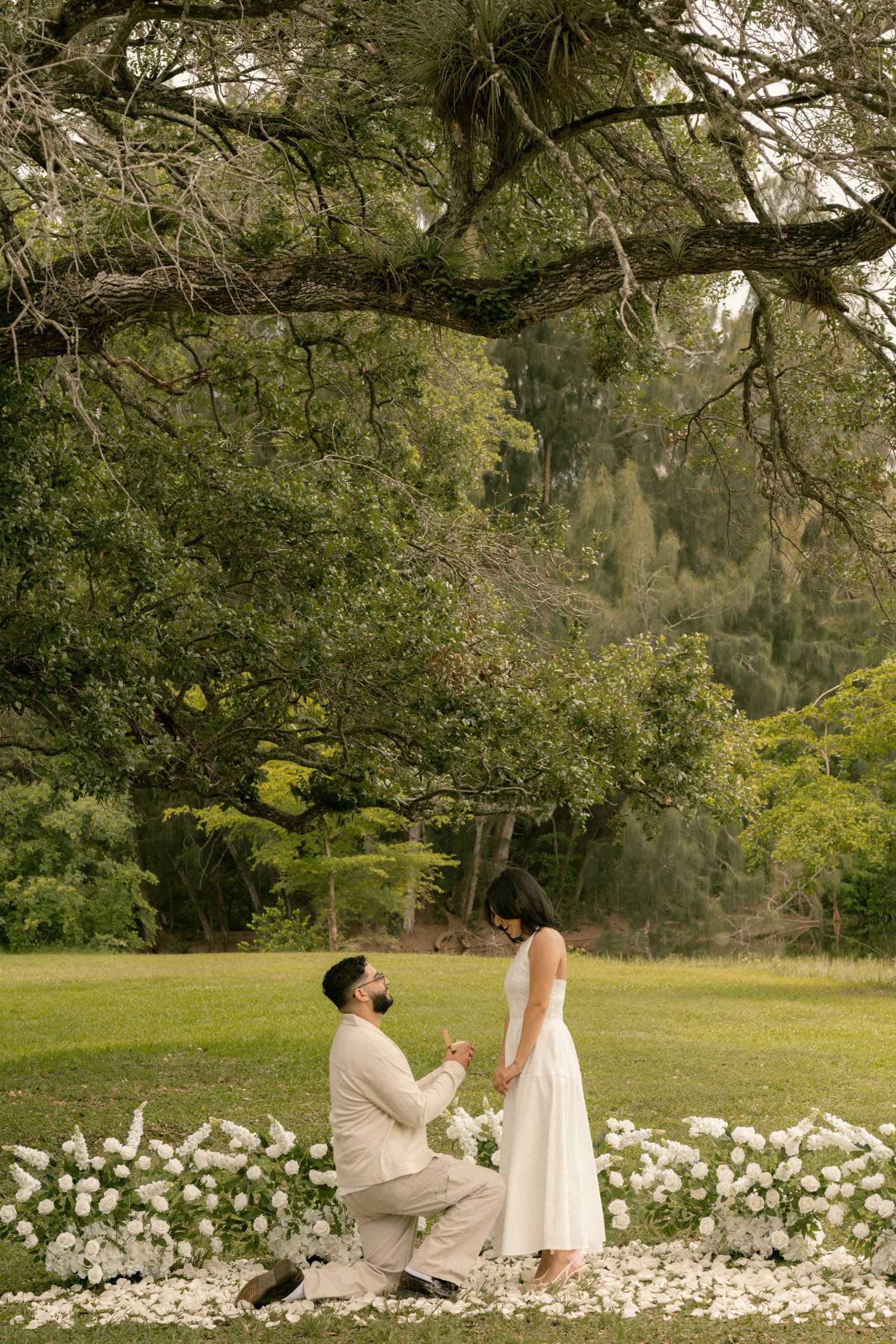 Man proposes on one knee to woman in white dress, surrounded by white flowers under a large oak tree in a lush garden.