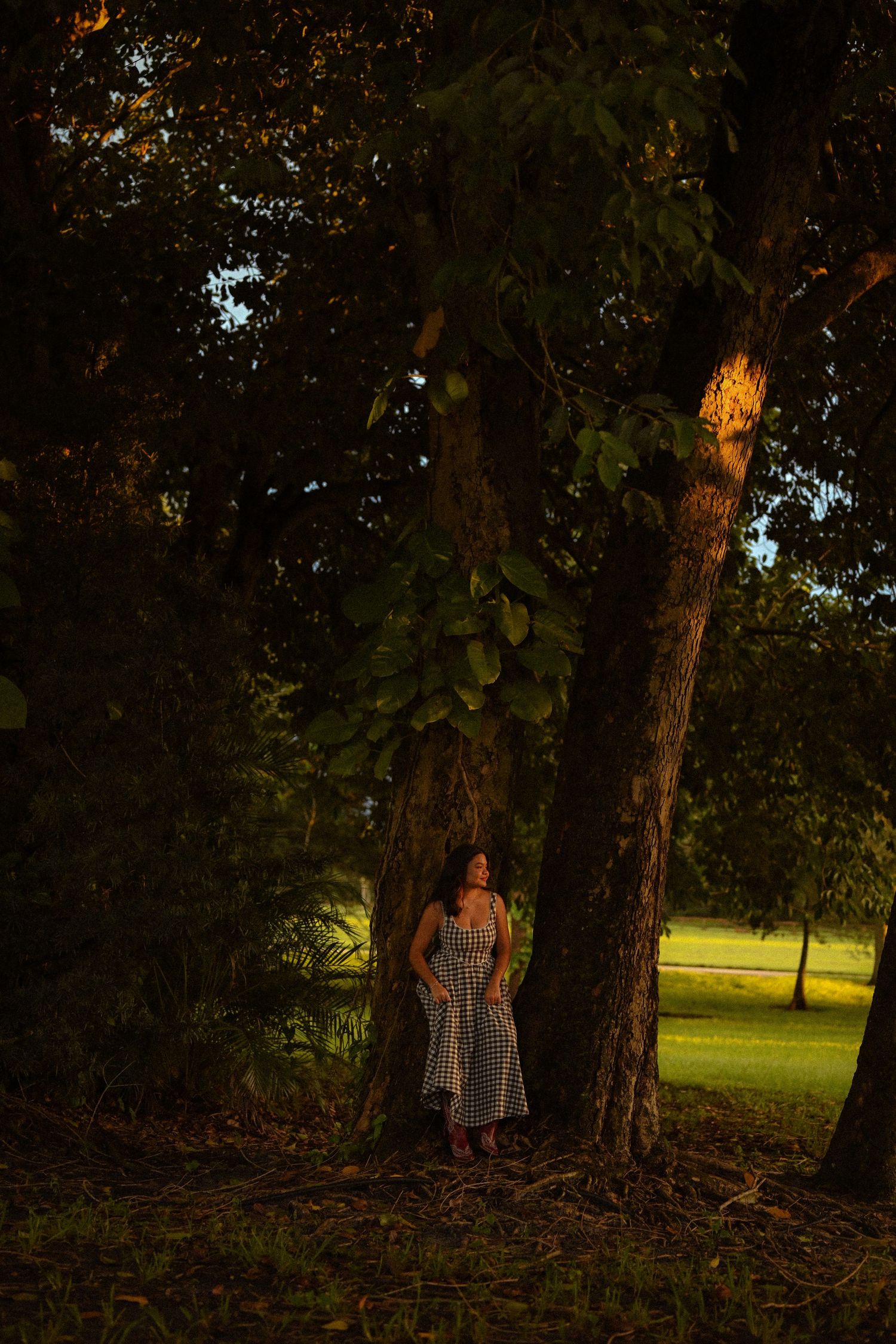 A wooded park scene with trees casting shadows and sunlit grass in the background.