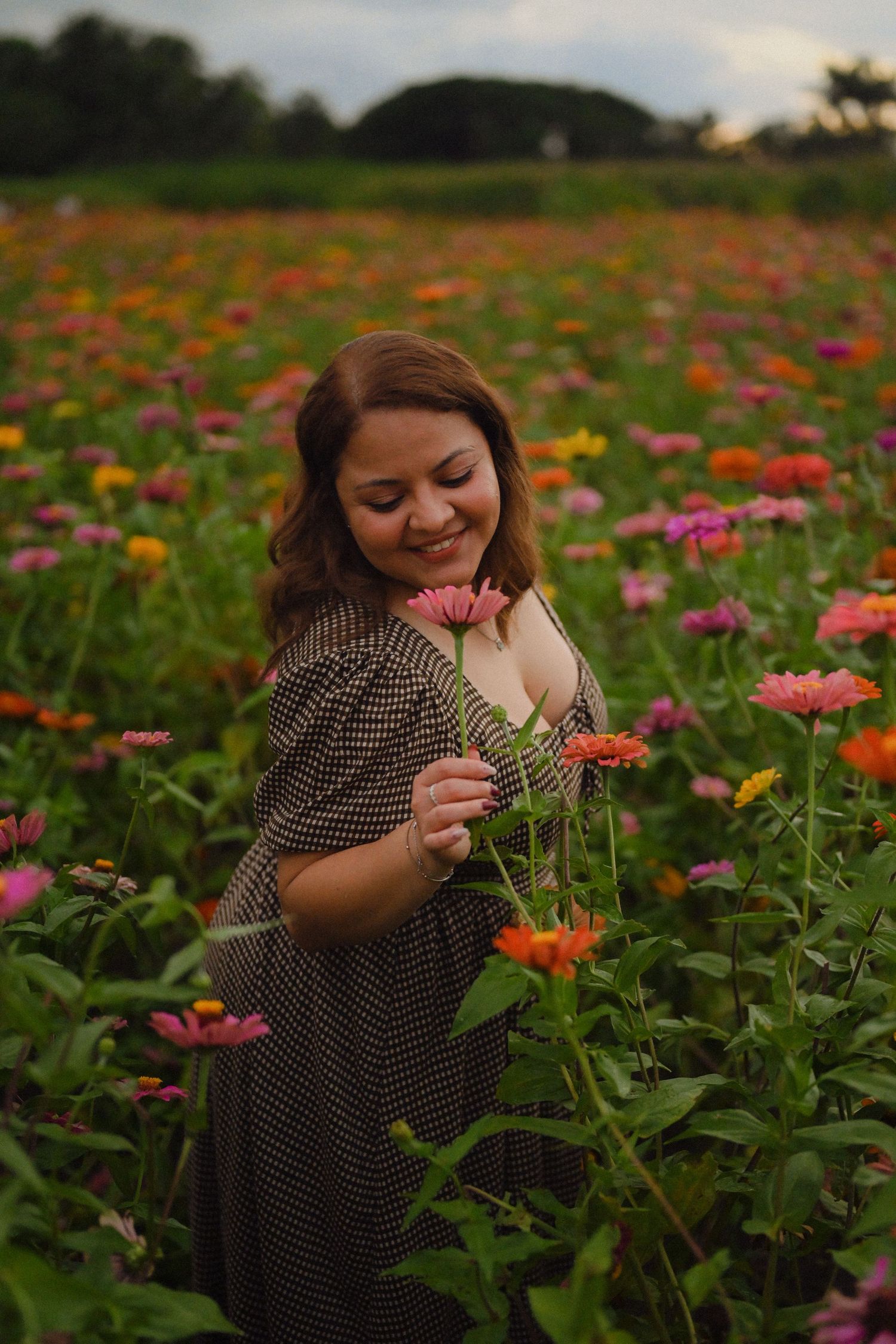 A sequence of photos showing someone in a polka dot dress joyfully exploring and smelling colorful zinnia flowers in a garden.