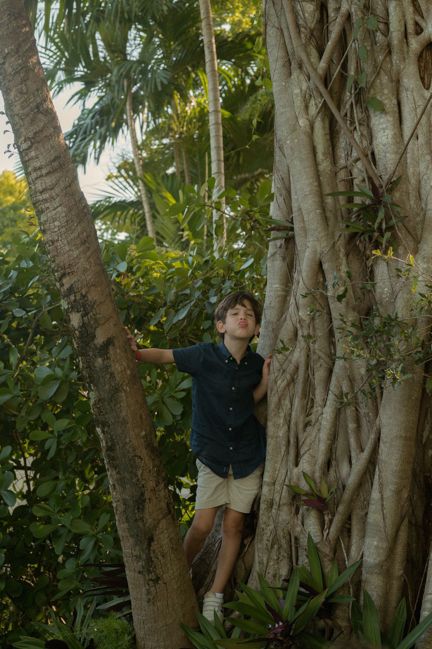 A boy in a navy shirt and khaki shorts stands between two large tree trunks with aerial roots in a lush tropical garden.