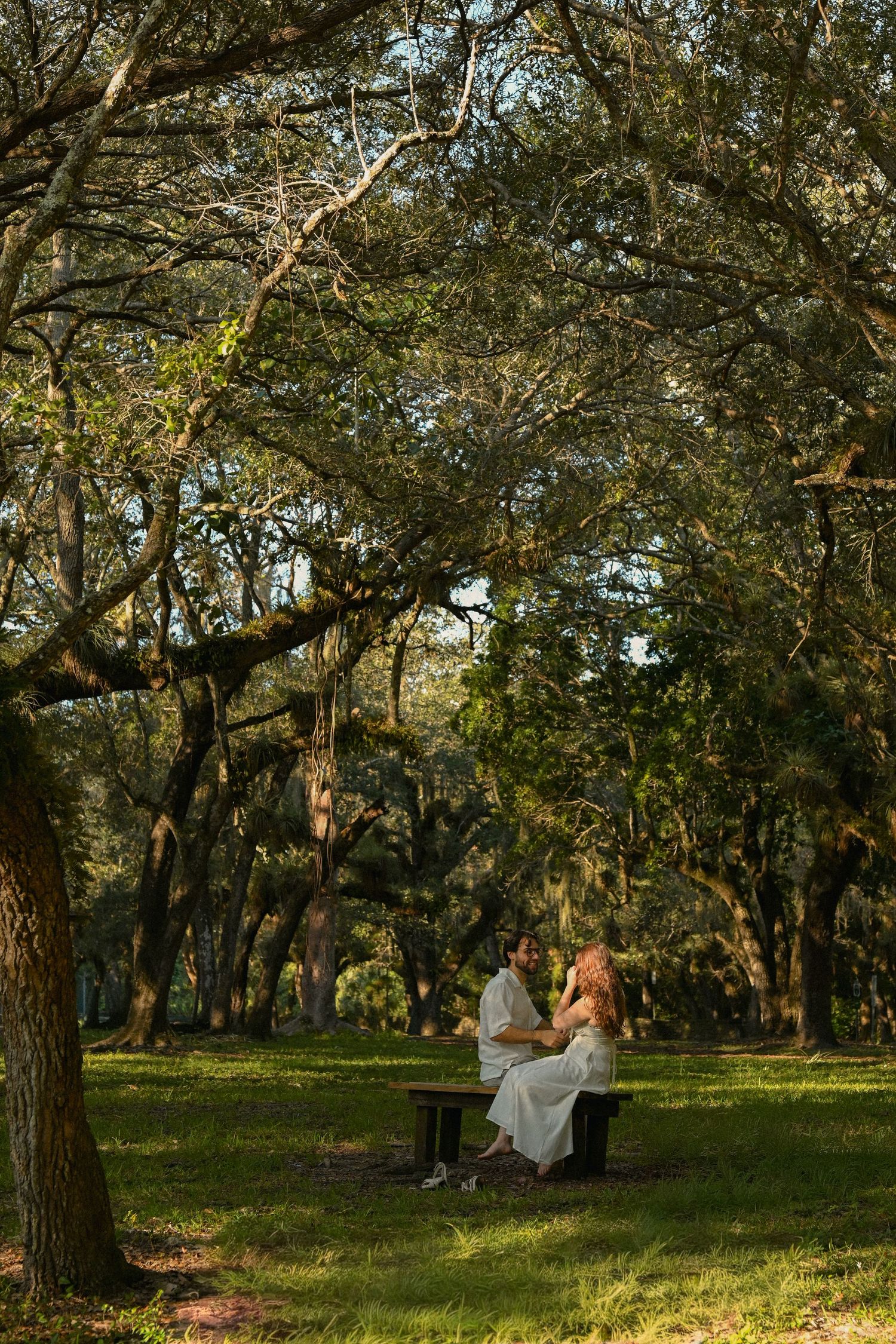 A couple sits together on a wooden swing hanging from a large oak tree in a sunlit park setting.