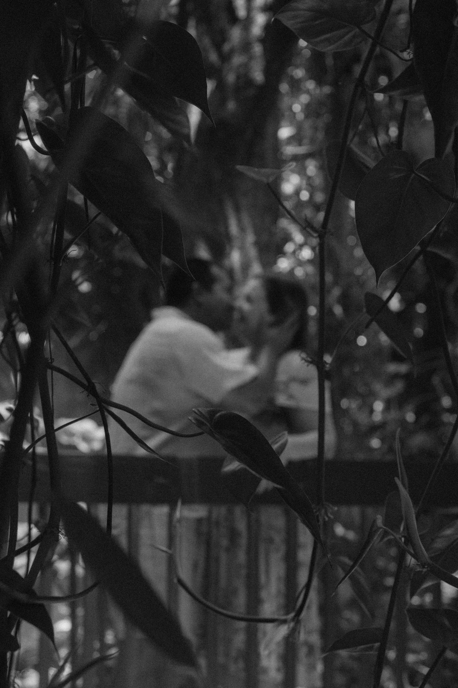 Black and white photo of two people seen through tropical foliage in a lush forest setting.