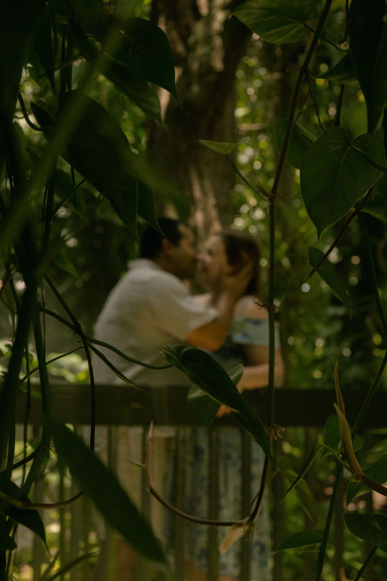 Couple sharing a romantic kiss framed by lush green tropical vines and trees in a serene outdoor setting.