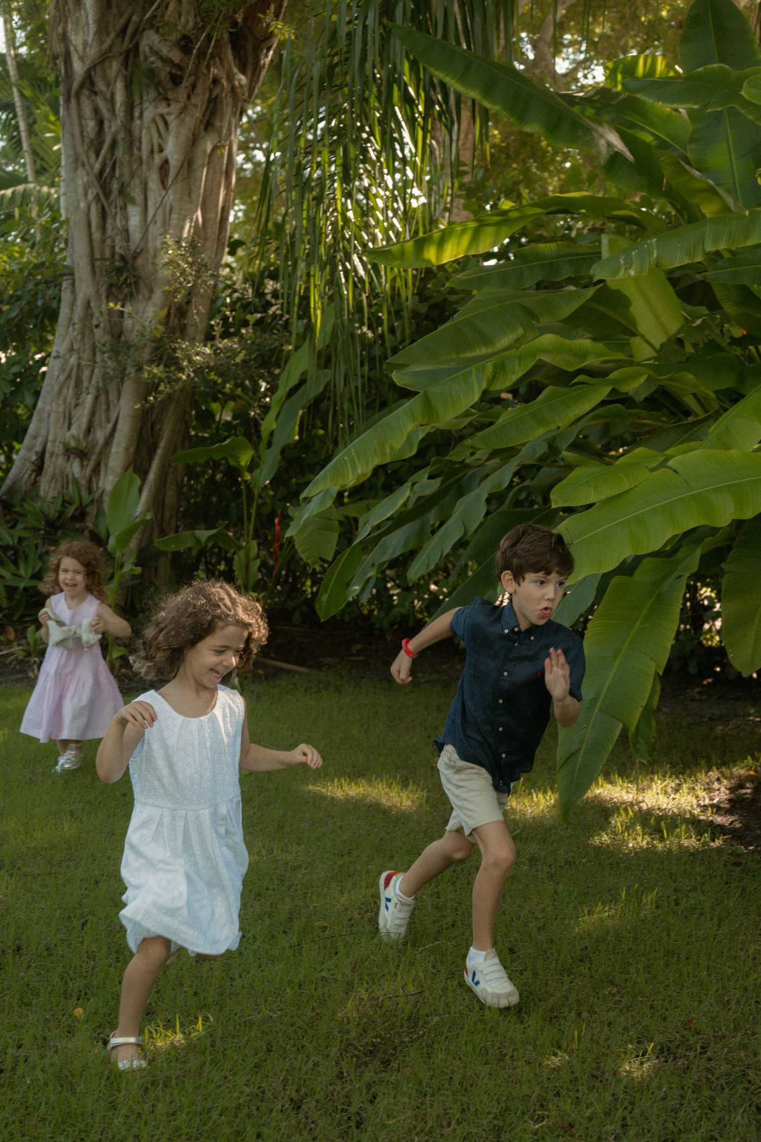 Three children in summer clothes run and play on a sunny grass lawn surrounded by lush tropical trees and large green leaves.