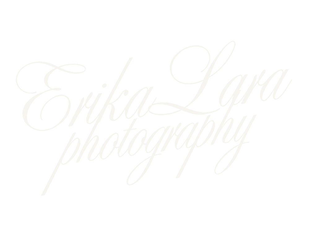 Erika-Lara Photography elegant cursive script logo in white on a light background.