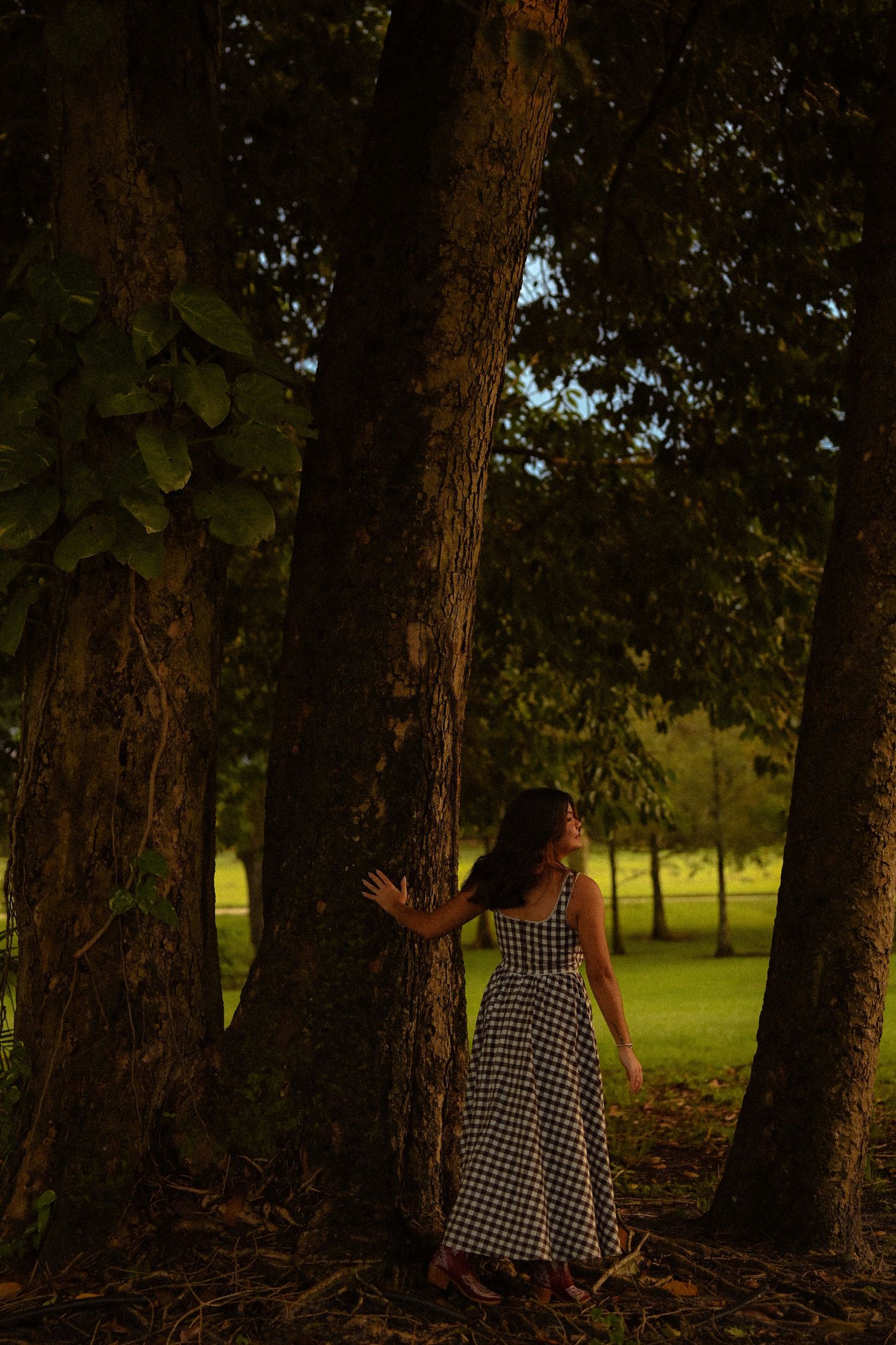 A person in a checkered dress walks among tall trees in a sunlit park.