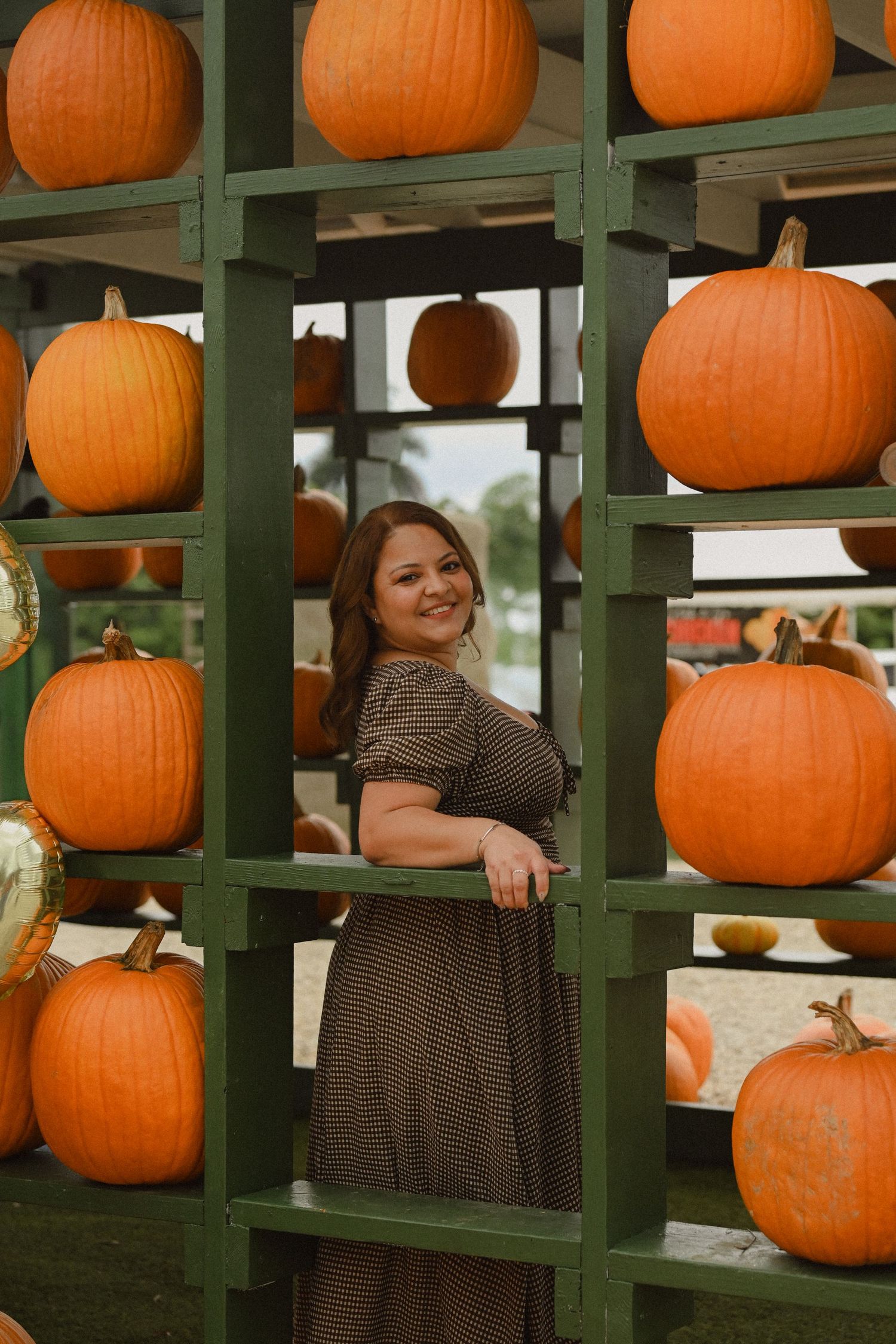 Pumpkins displayed on green wooden shelves at an outdoor market stand.