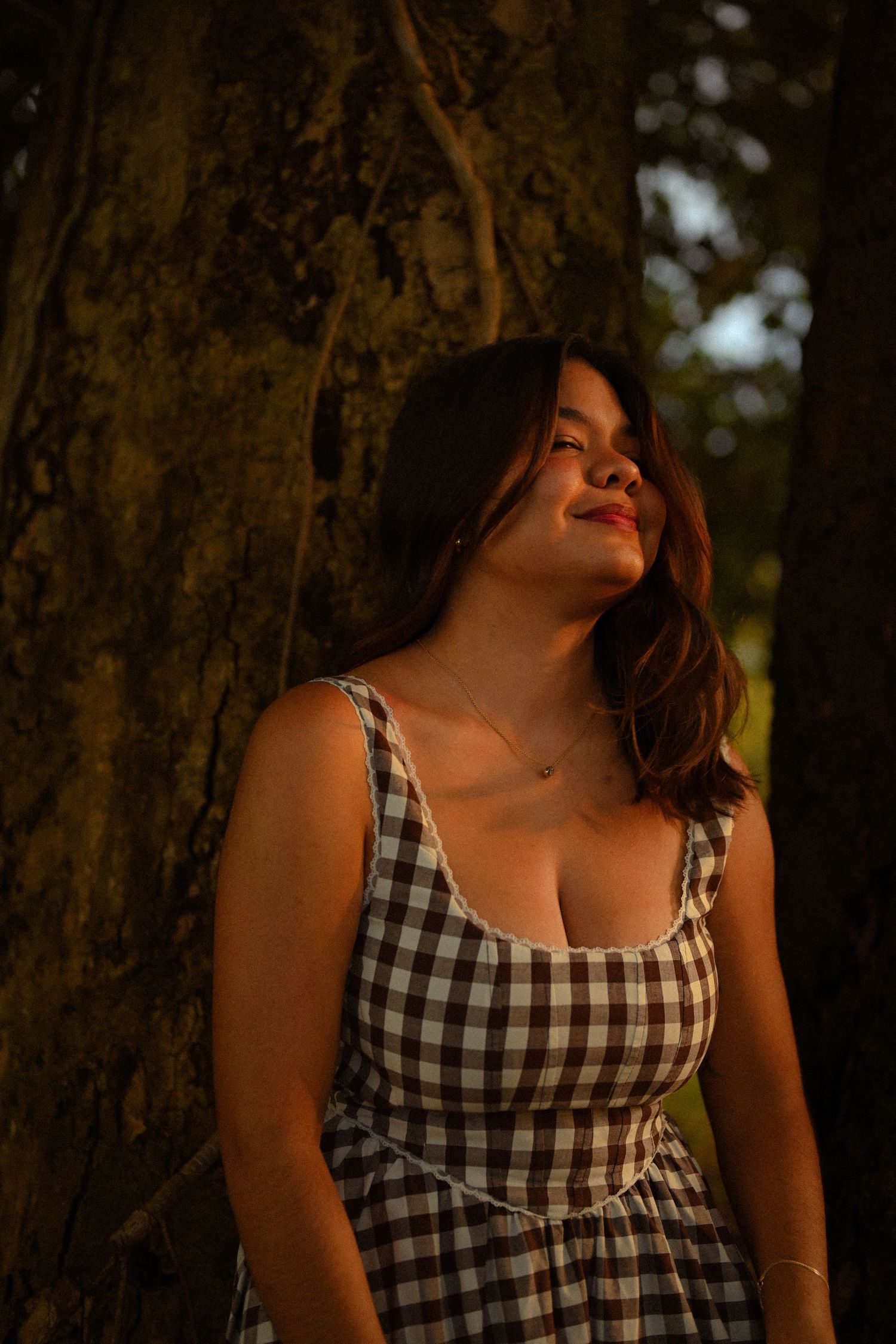 A gingham dress is highlighted by warm sunset lighting against a dark tree backdrop.