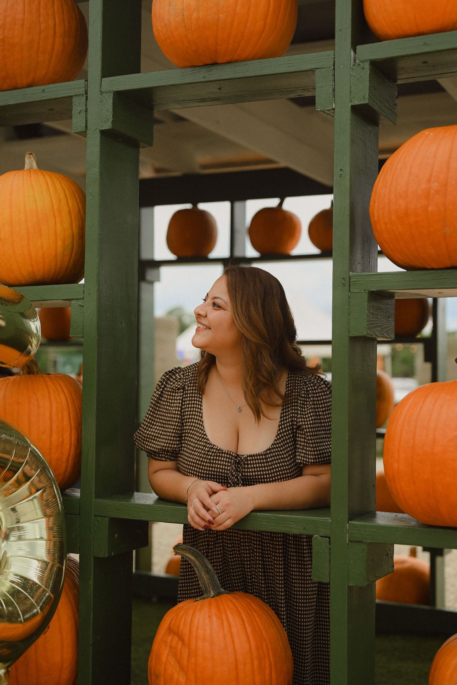 Rustic green shelving unit filled with bright orange pumpkins in an autumn display.