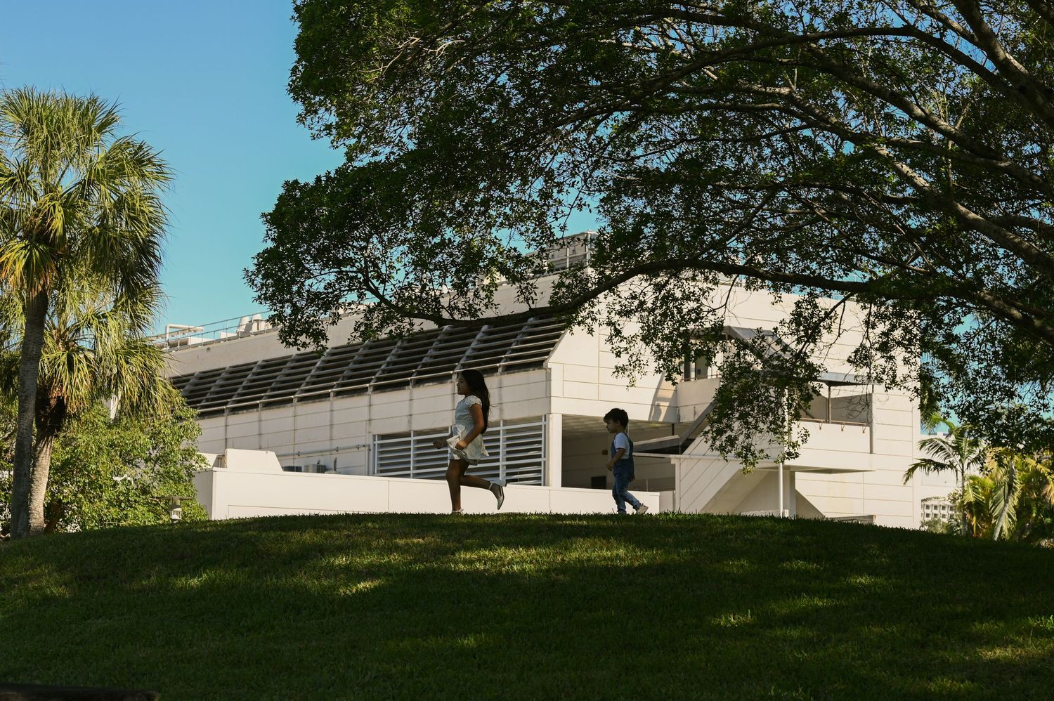 Palm trees and buildings line a scenic outdoor campus walkway.