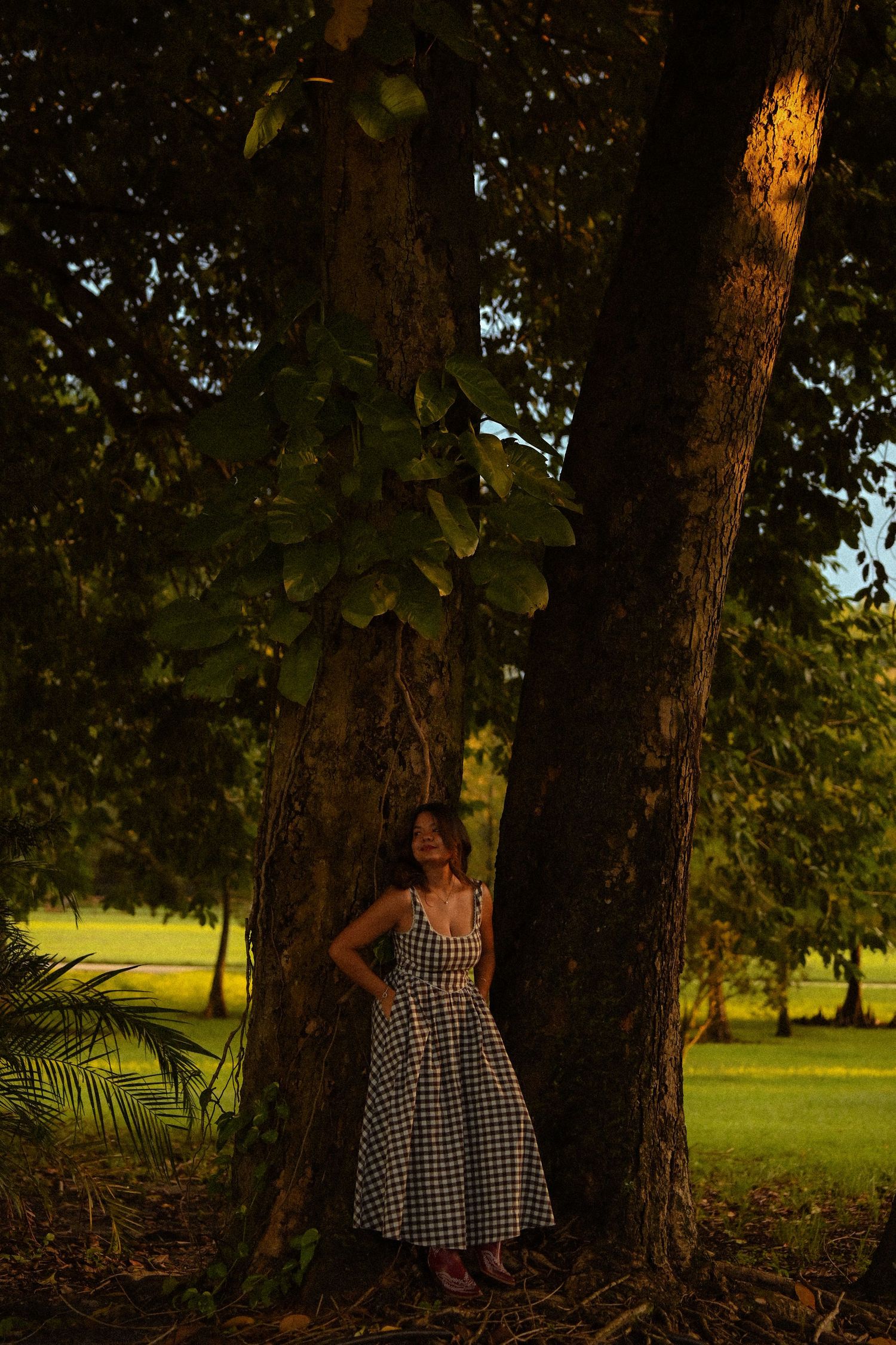 Sunlight filters through trees creating a moody atmosphere in a park setting.