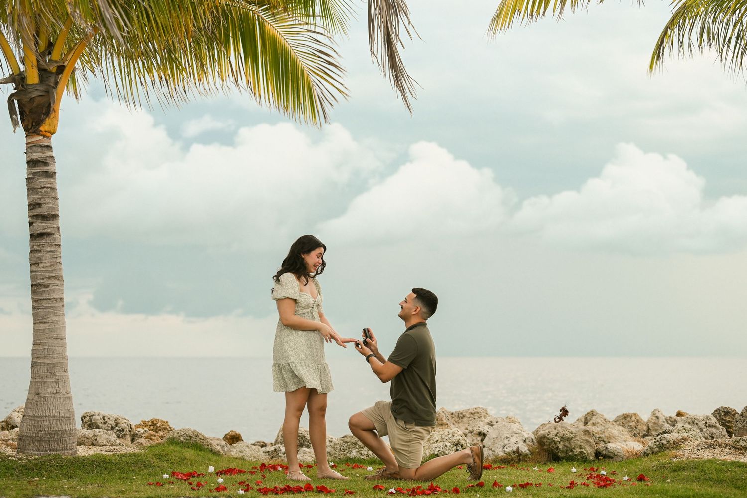 A proposal scene unfolds under a palm tree on a tropical beach with ocean views.