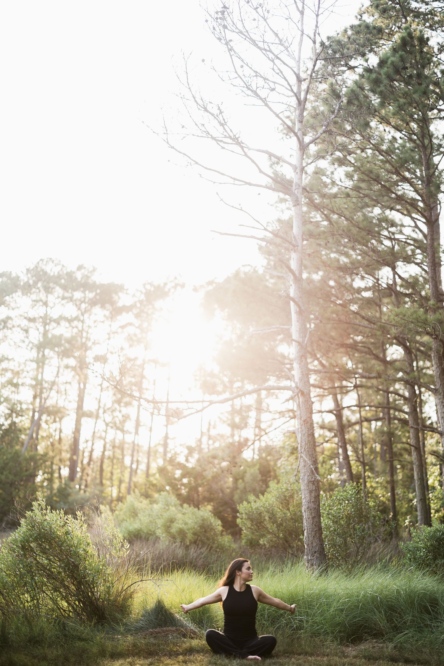 Silhouette of person sitting in yoga pose amidst sunlit pine forest with tall grass and glowing sunbeams.