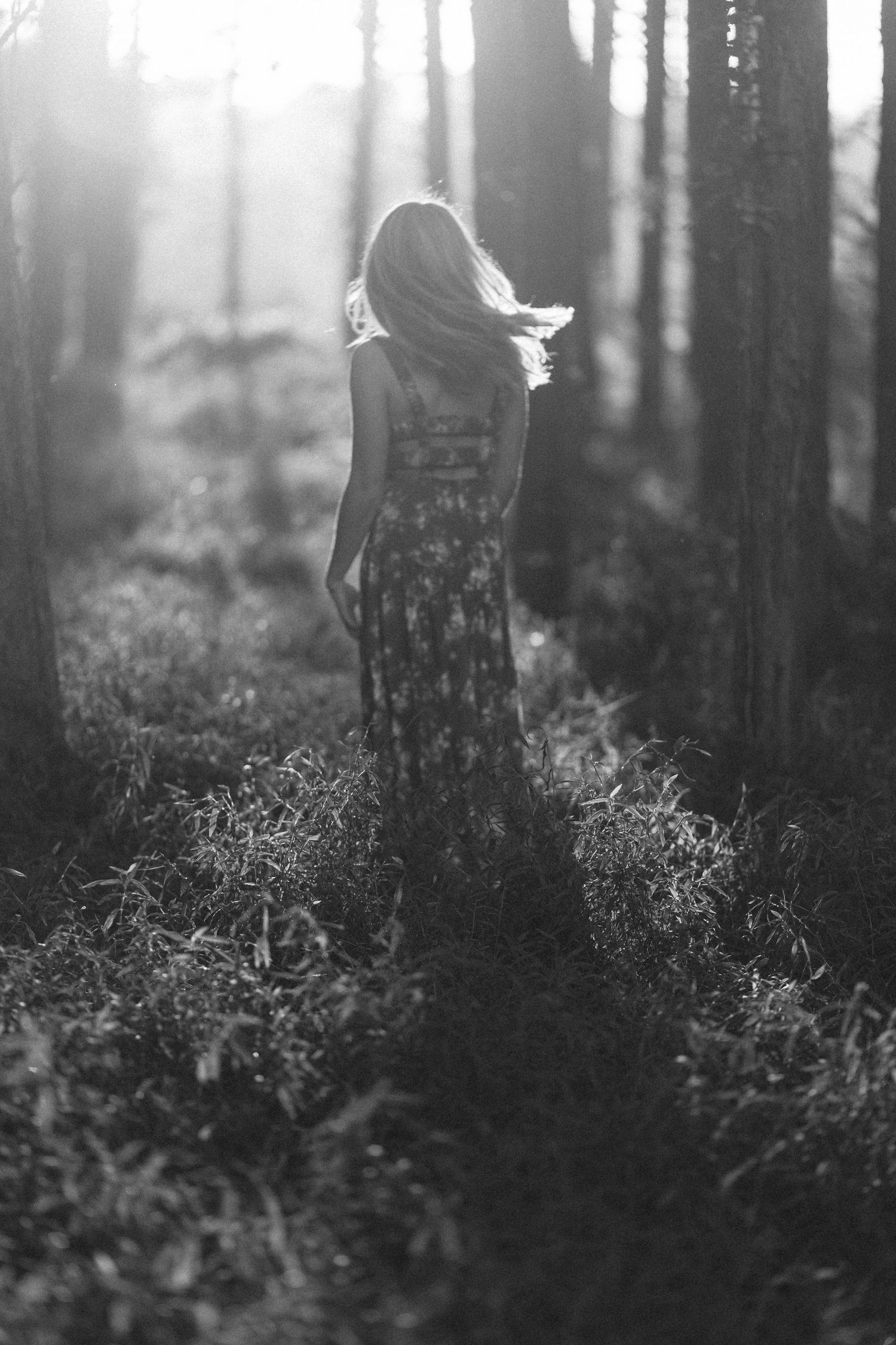 A silhouetted figure in a floral dress stands in a misty forest with sunlight streaming through the trees.
