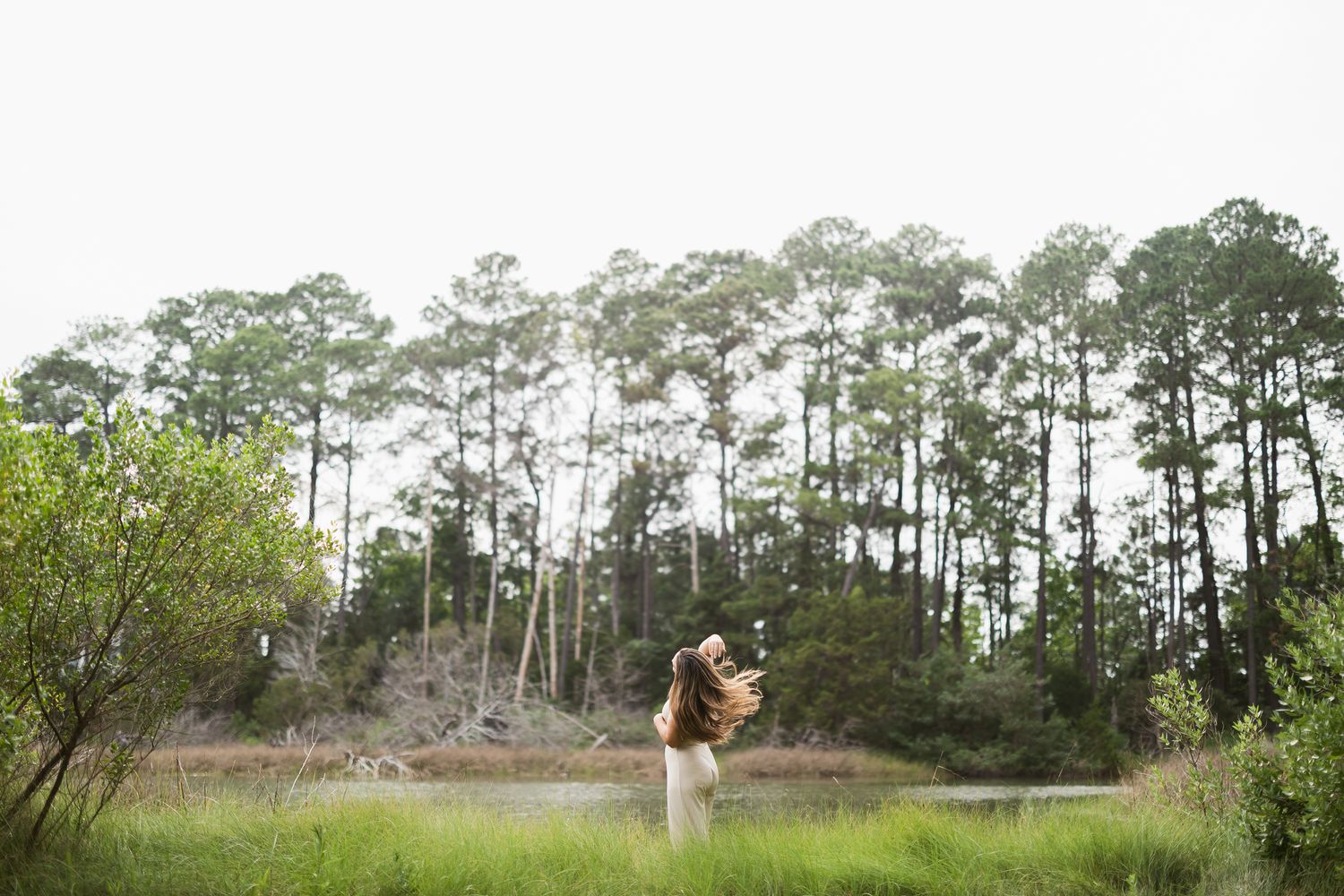 A scenic panorama of tall pine trees bordering a tranquil marsh landscape under a cloudy sky.