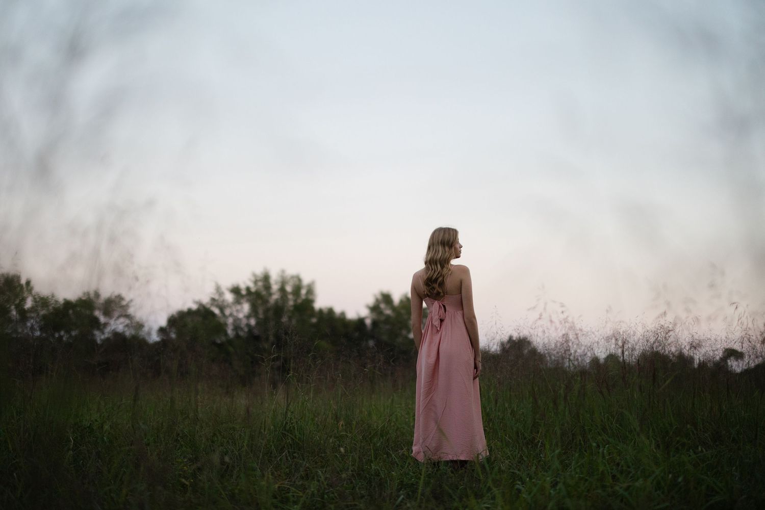 A person in a pink dress stands in a misty field at dusk creating a dreamy silhouette against the sky.