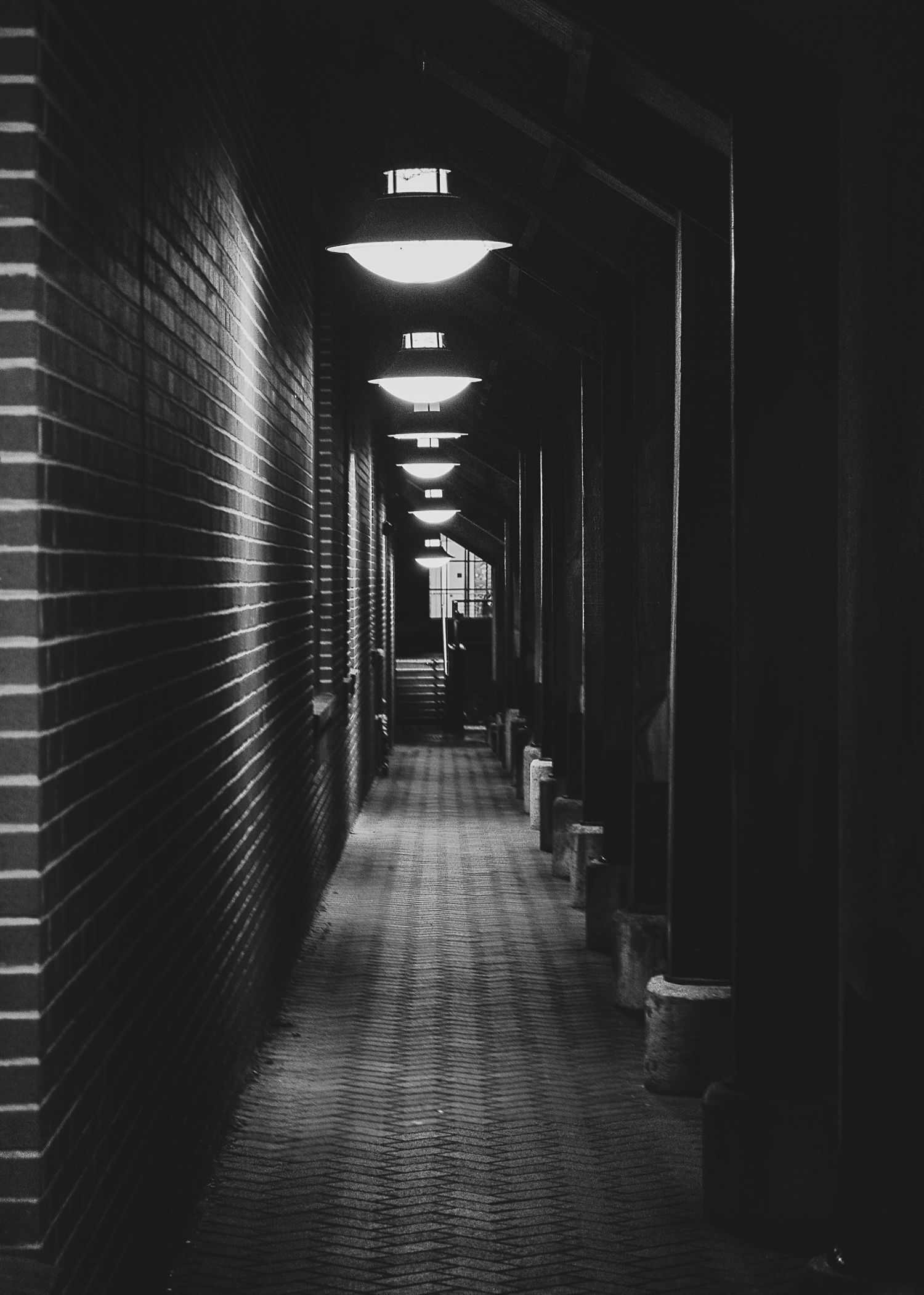 Night Walks