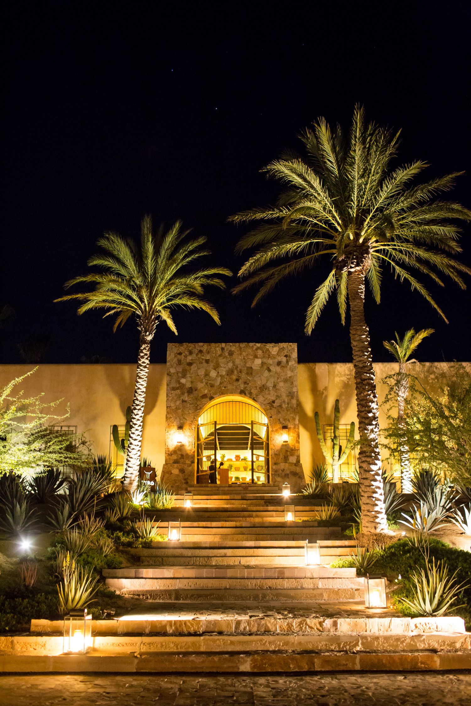Illuminated palm trees frame a Mediterranean-style entrance with lit stone steps leading to an elegant doorway.