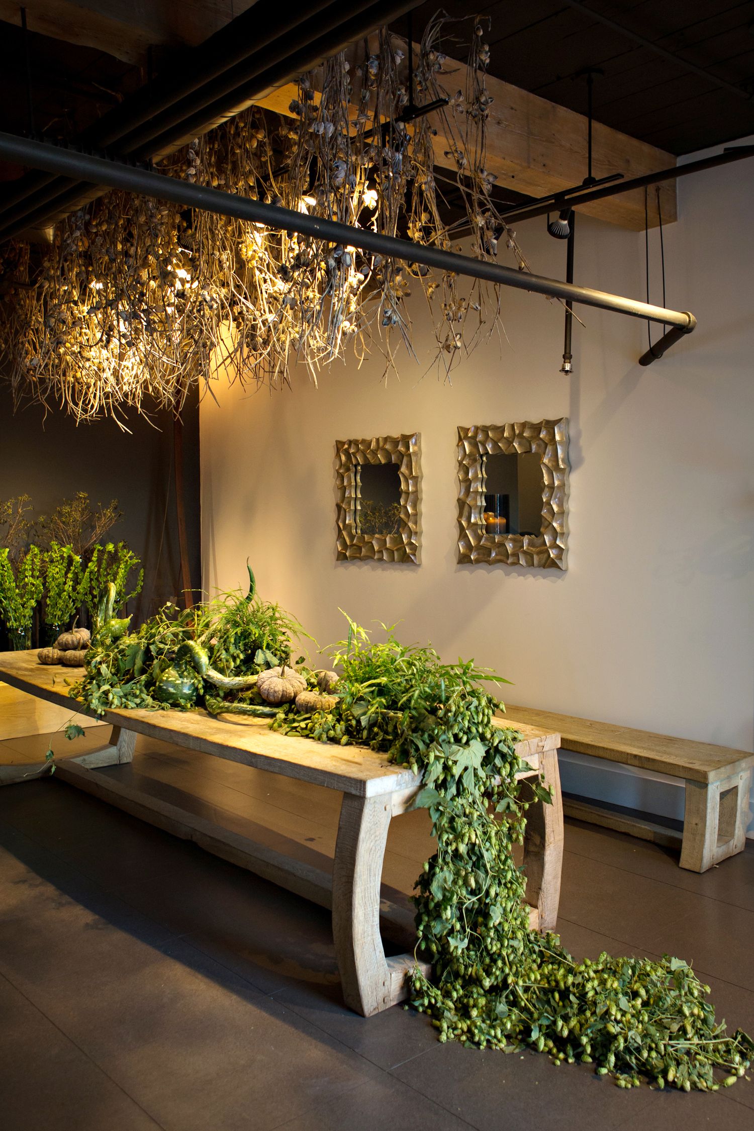 Modern rustic bench with cascading greenery under dried botanical ceiling installation in a minimalist space.