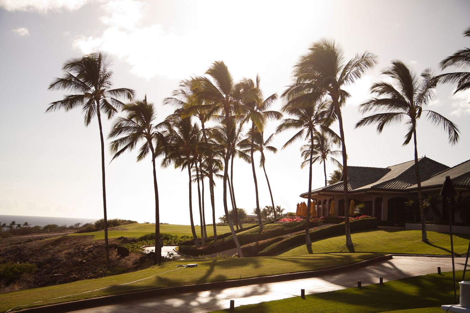 Palm trees sway in the wind on a luxurious golf course overlooking the ocean at sunset.