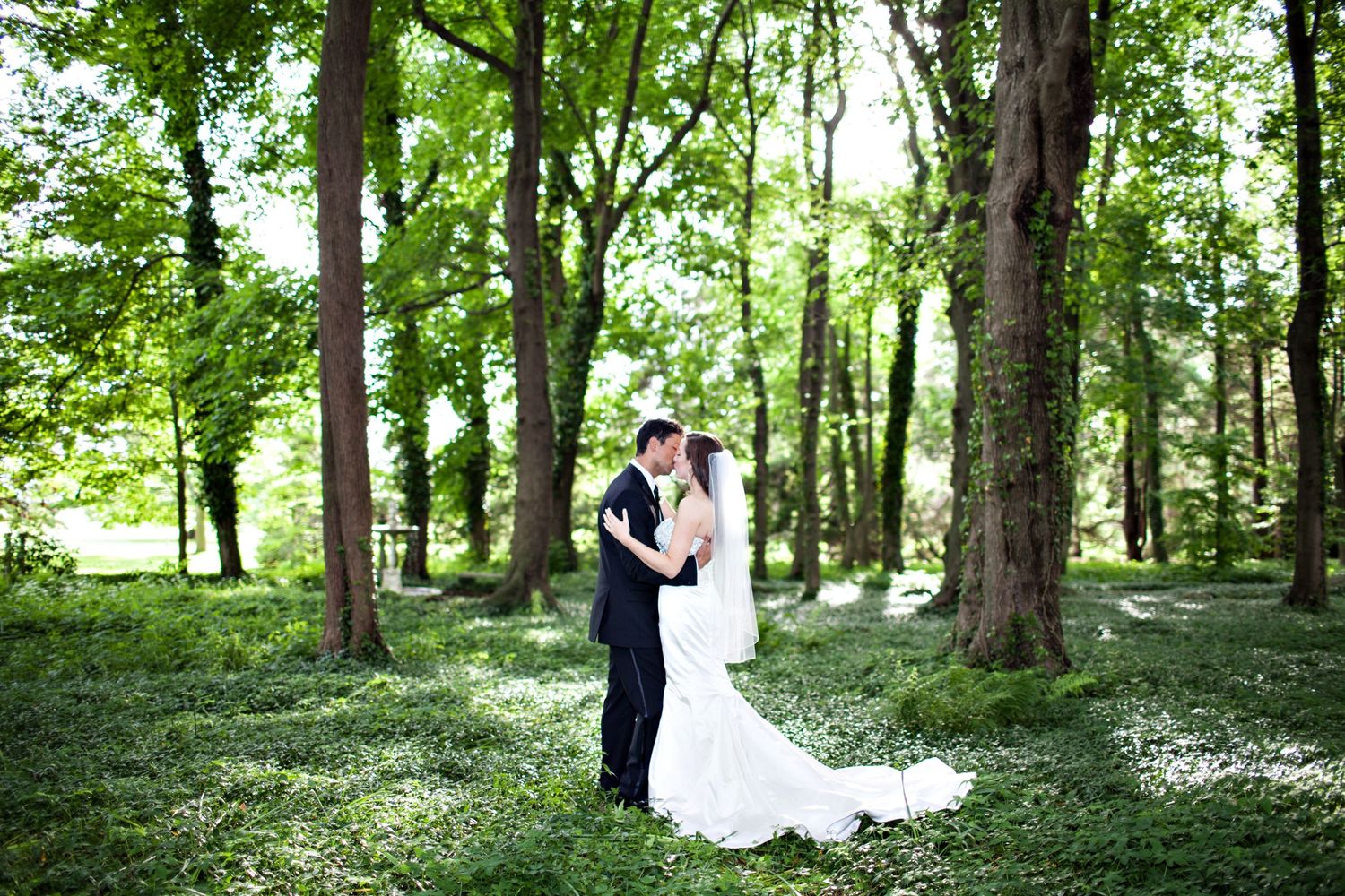 A couple embraces in a sunlit forest clearing surrounded by tall trees and scattered white wildflowers.