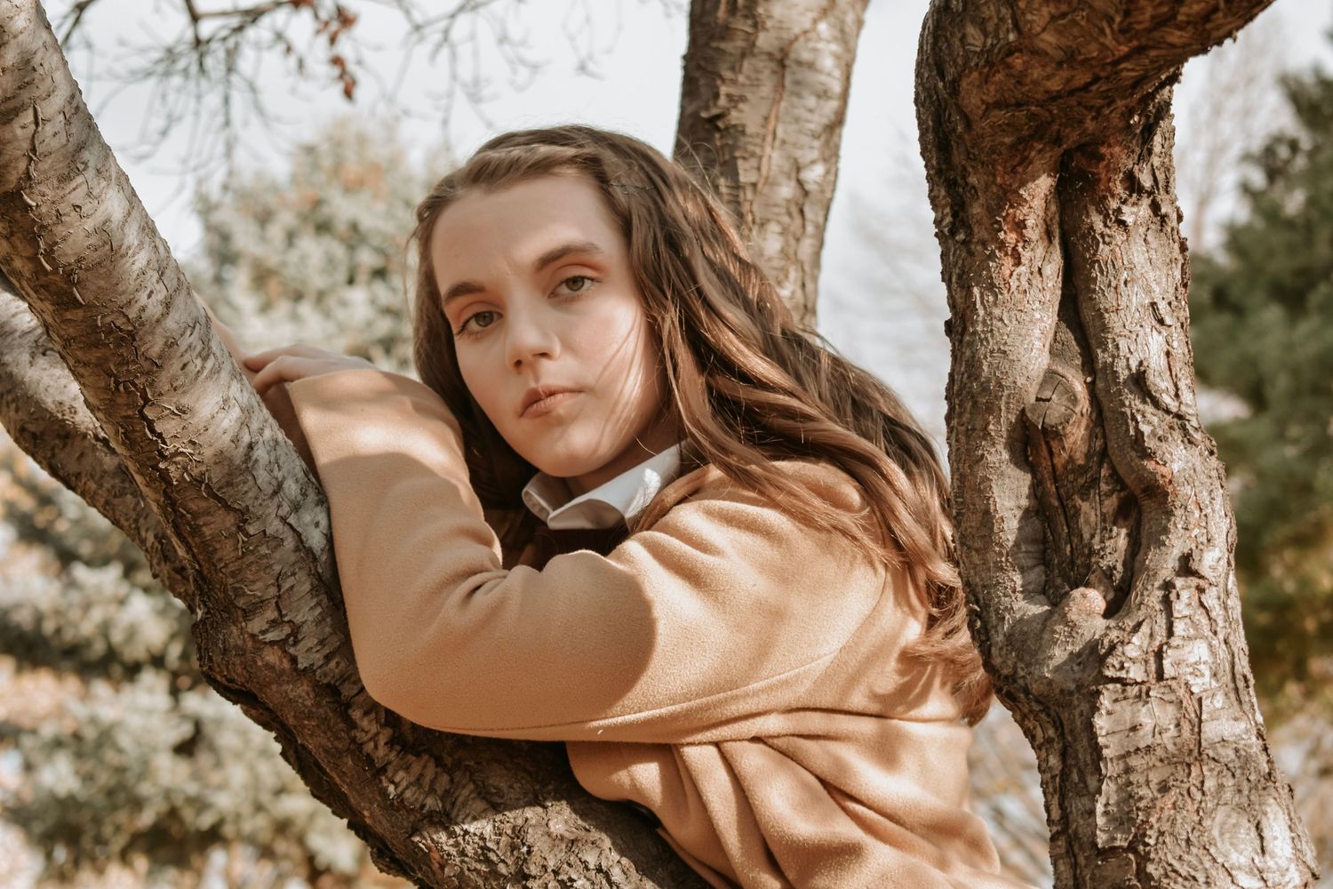 Picture of Alexis Porter leaning up in a tree looking at the camera