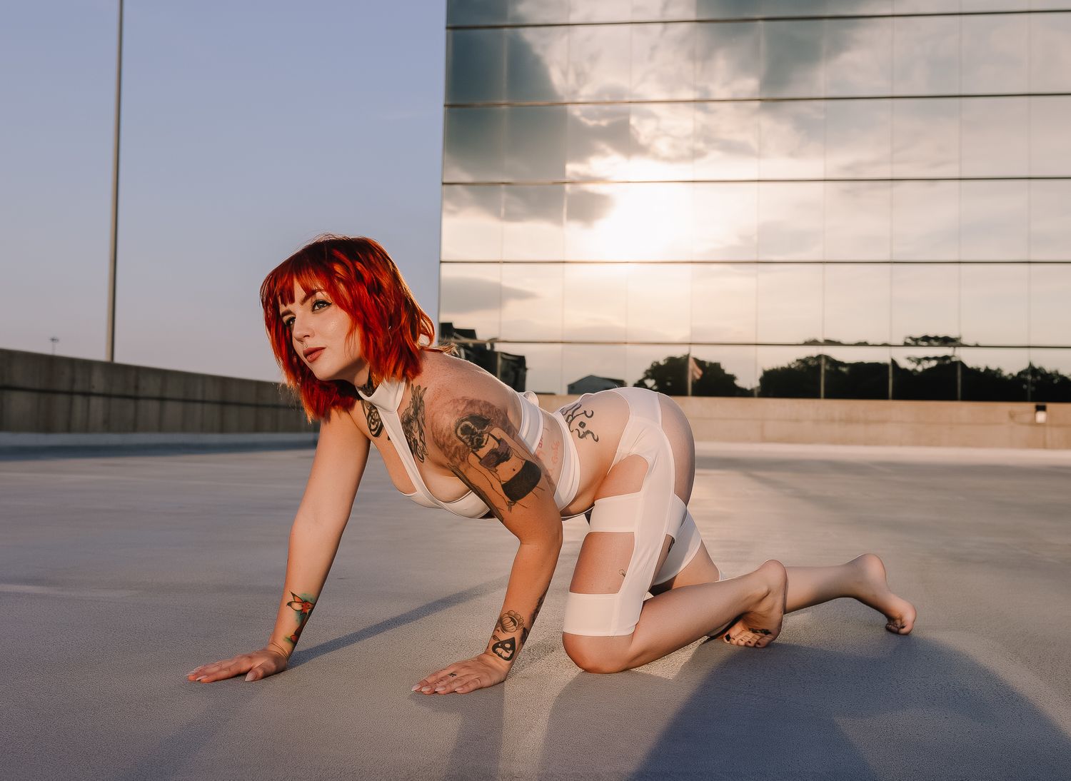 Artistic outdoor photo on concrete surface with moody sunset sky backdrop.