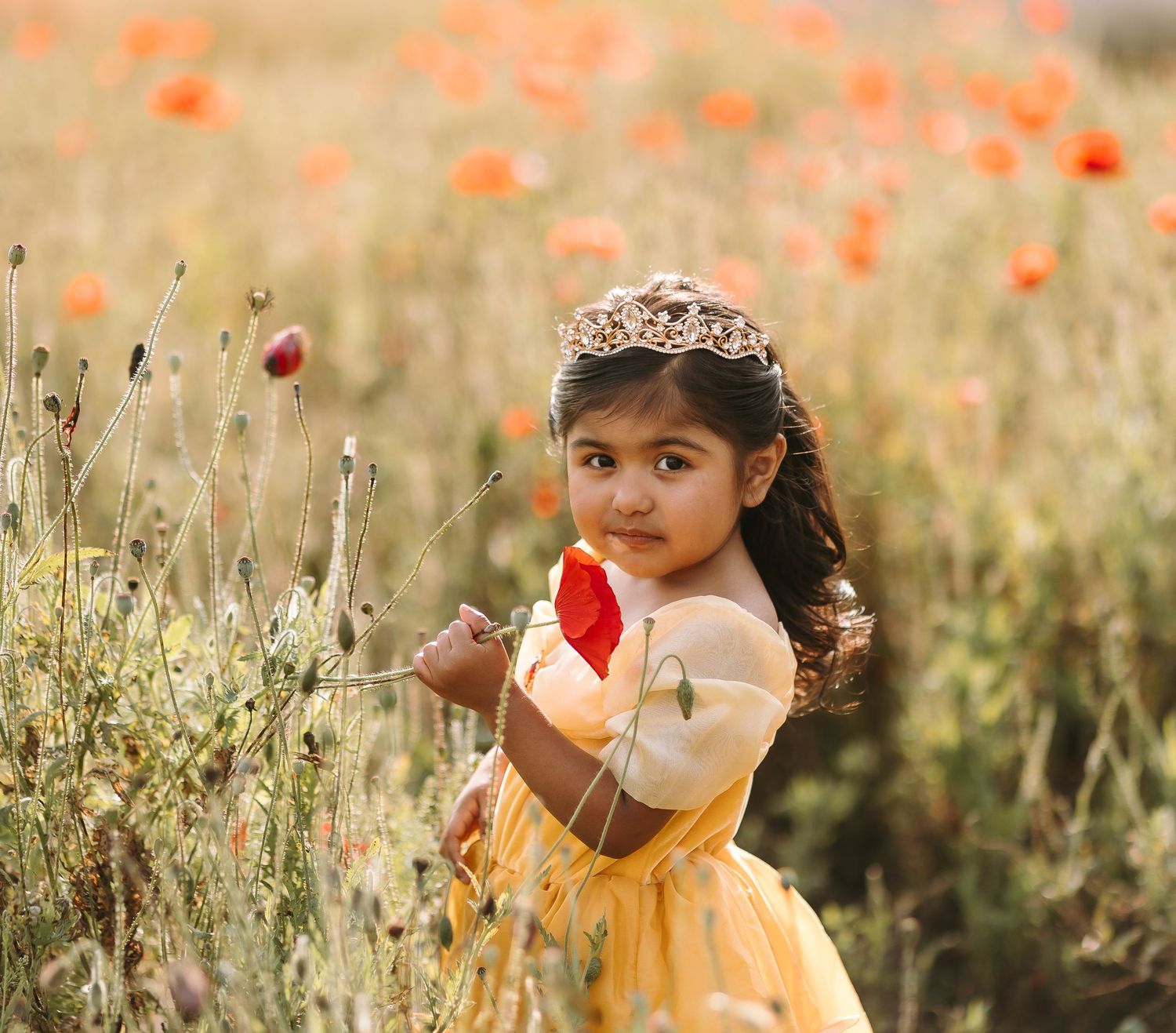 A little girl in a yellow princess dress and tiara holds a red flower in a vibrant poppy field.