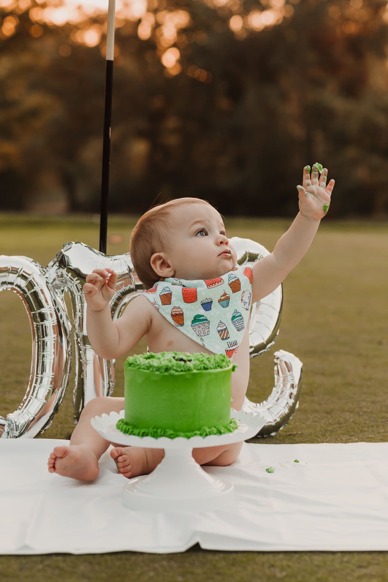 A baby in a patterned bib celebrates near a green birthday cake and silver balloon decorations outdoors.