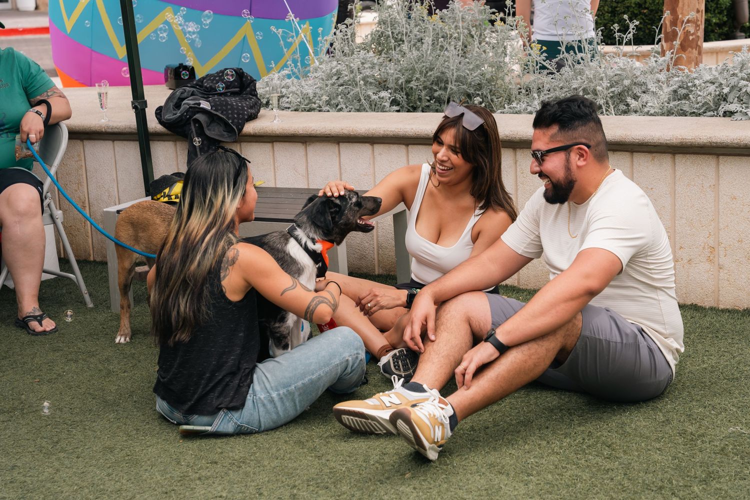 Group relaxing on artificial turf while petting dogs at outdoor event.