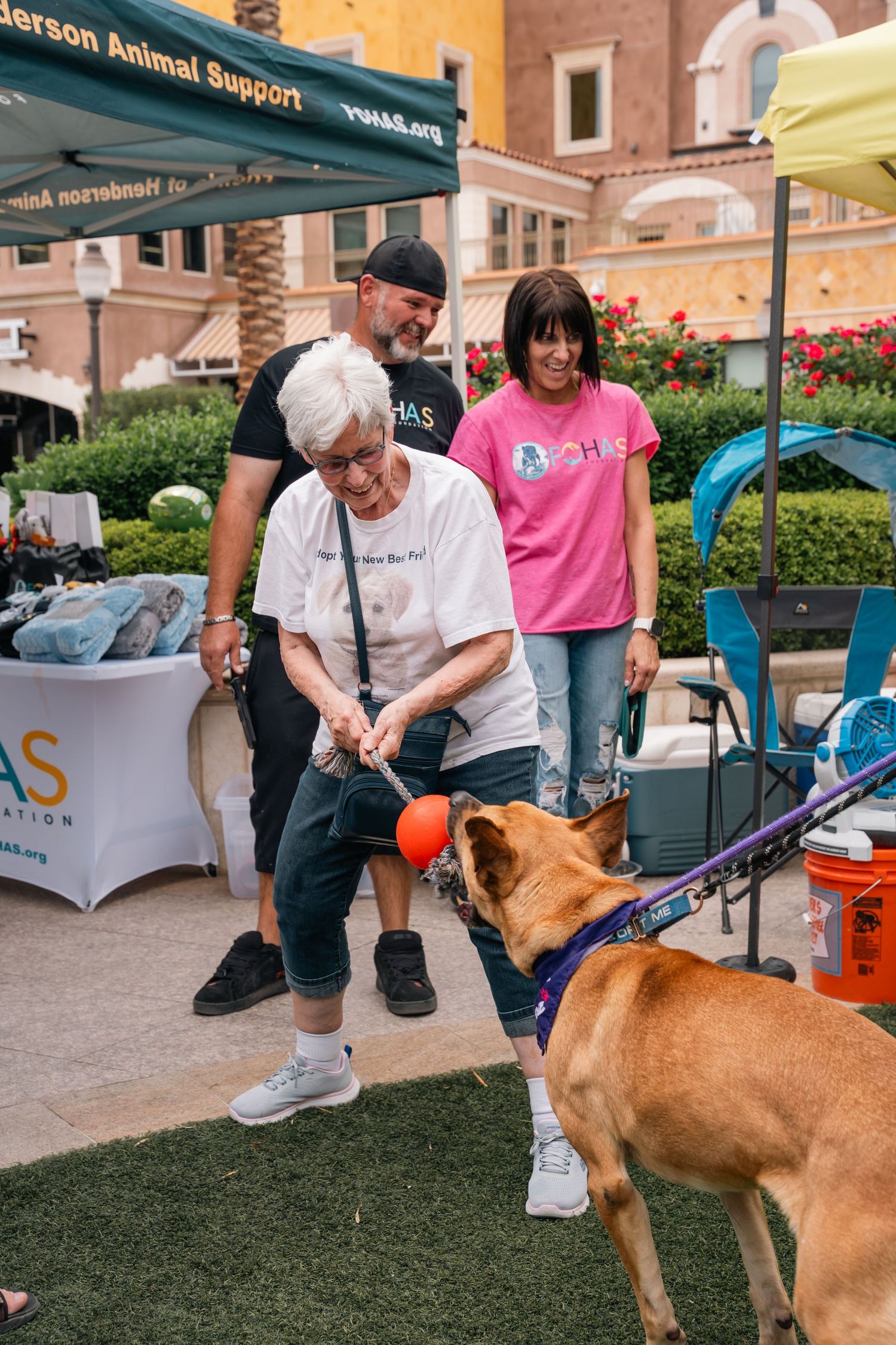 Dog interacting with attendees at an animal support organization booth during outdoor event.