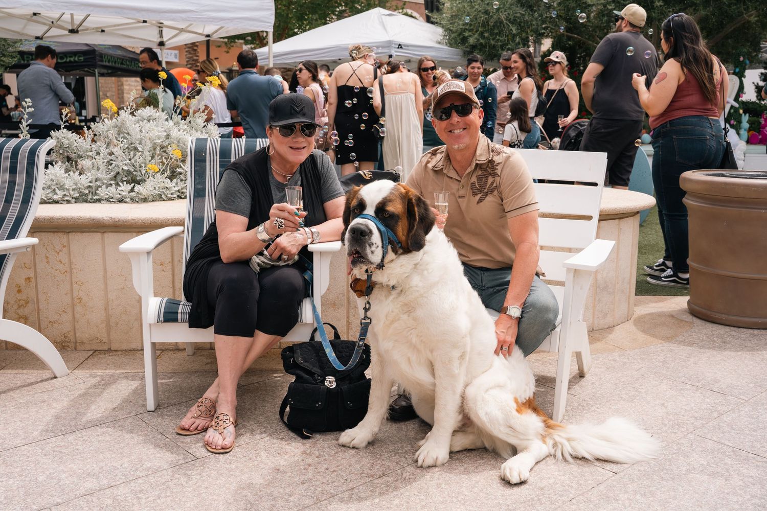 Two people sitting outdoors with large white and brown dogs at community gathering.