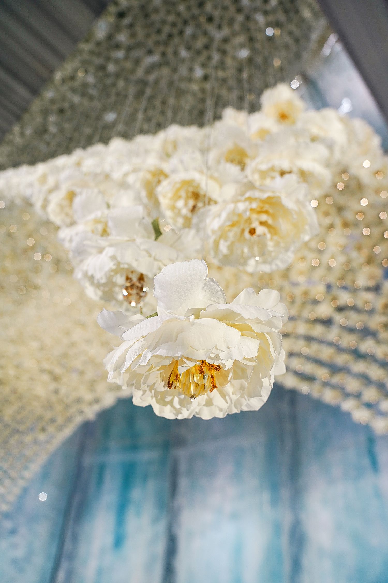 Close-up of white roses and floral decorations with sparkling lights against blue backdrop.