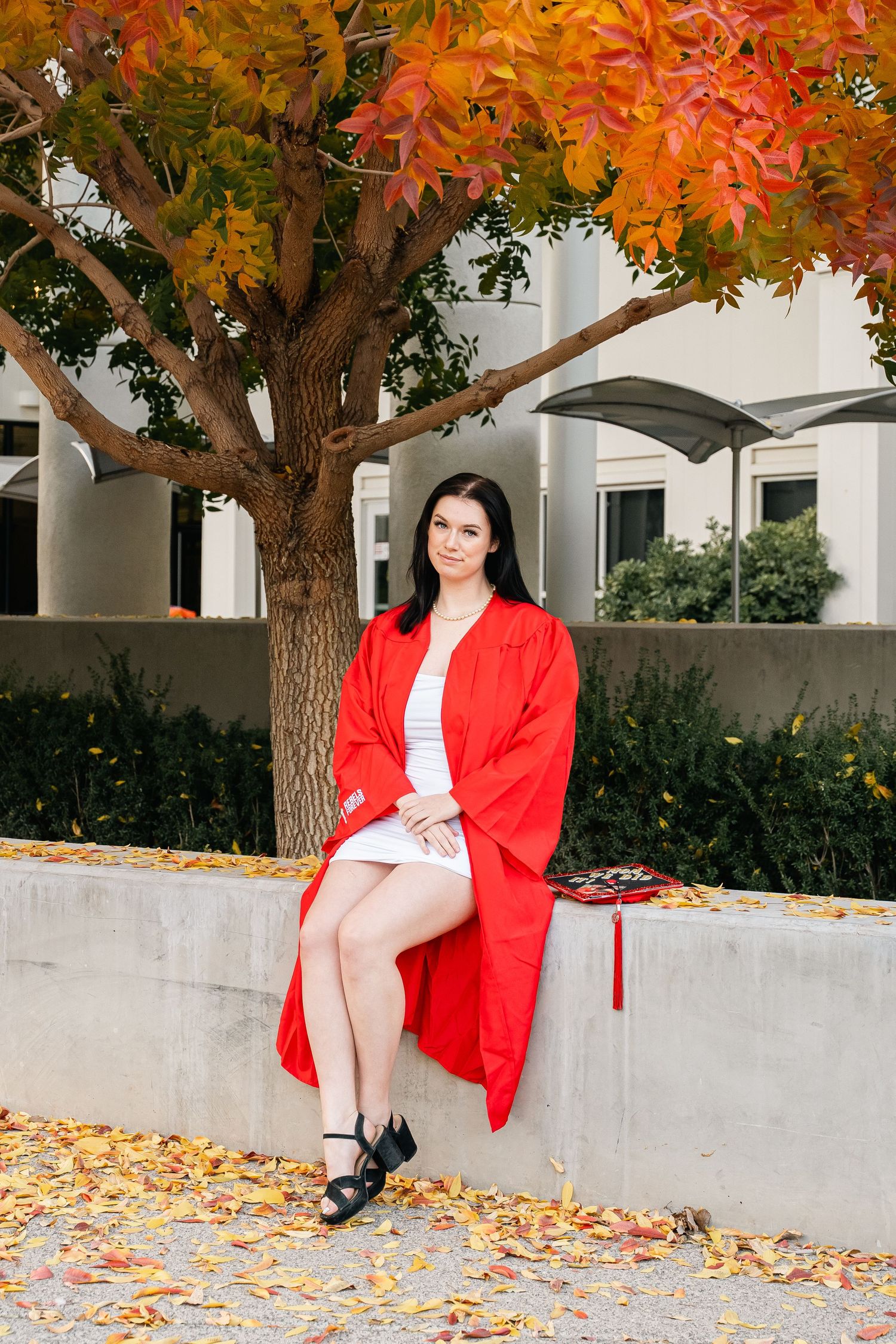 Fall graduation photos under orange autumn trees on campus.