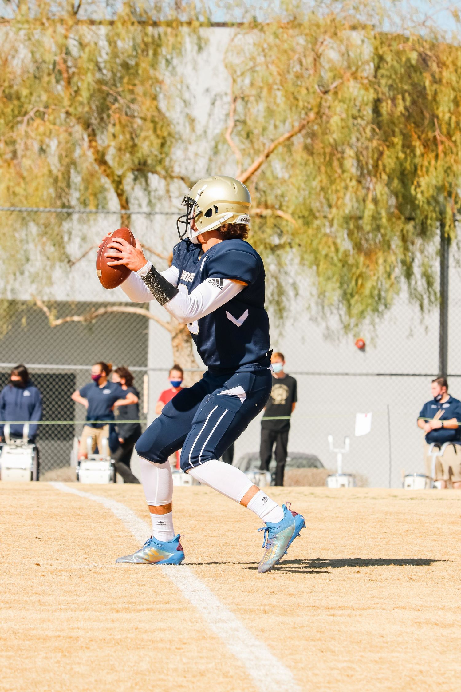 Football player in navy uniform preparing to throw ball during sunny game day.