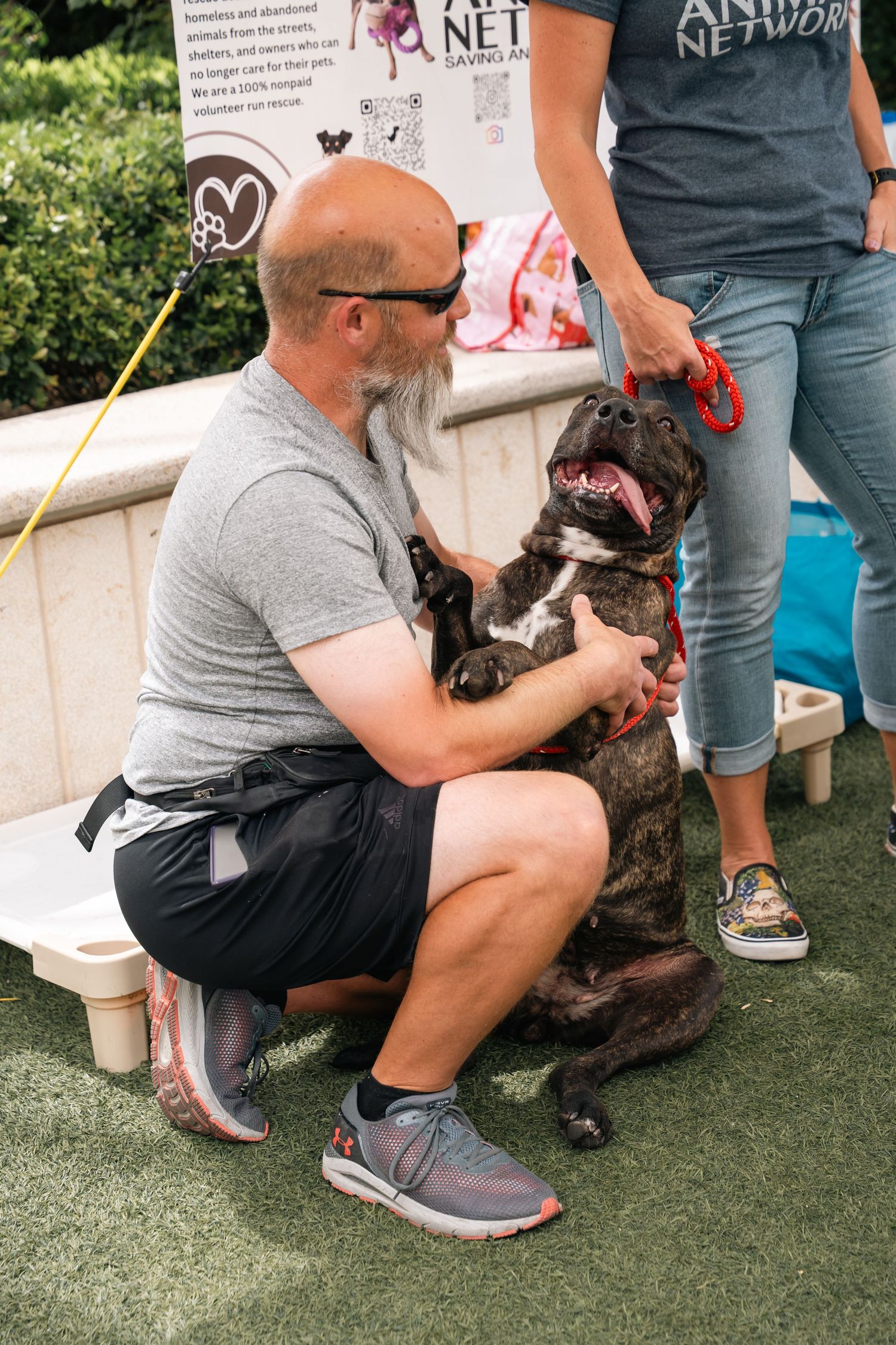 Brindle dog receiving attention at animal rescue organization booth.