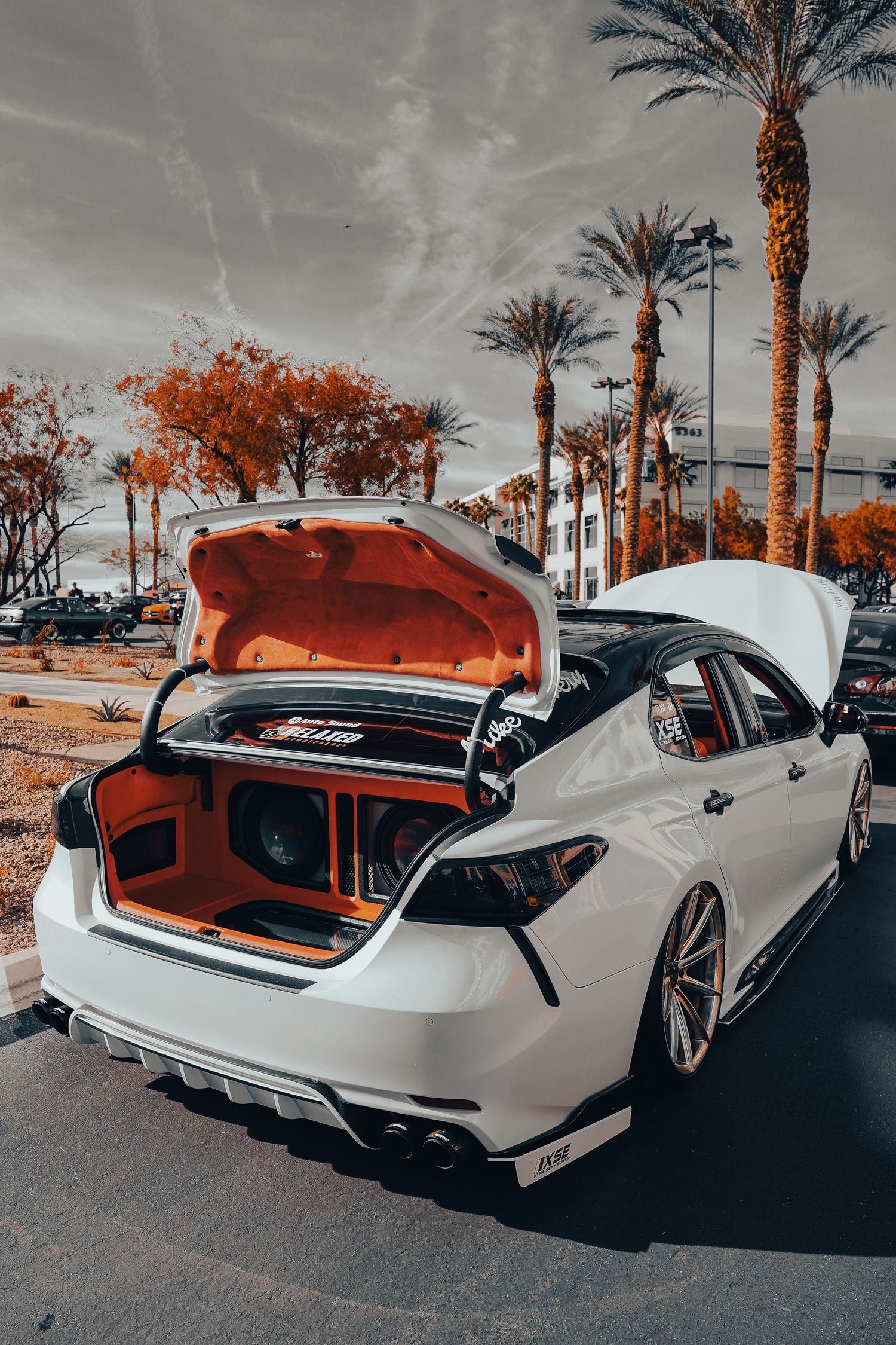 Modified white sedan with open trunk showcasing custom audio setup against palm tree backdrop.