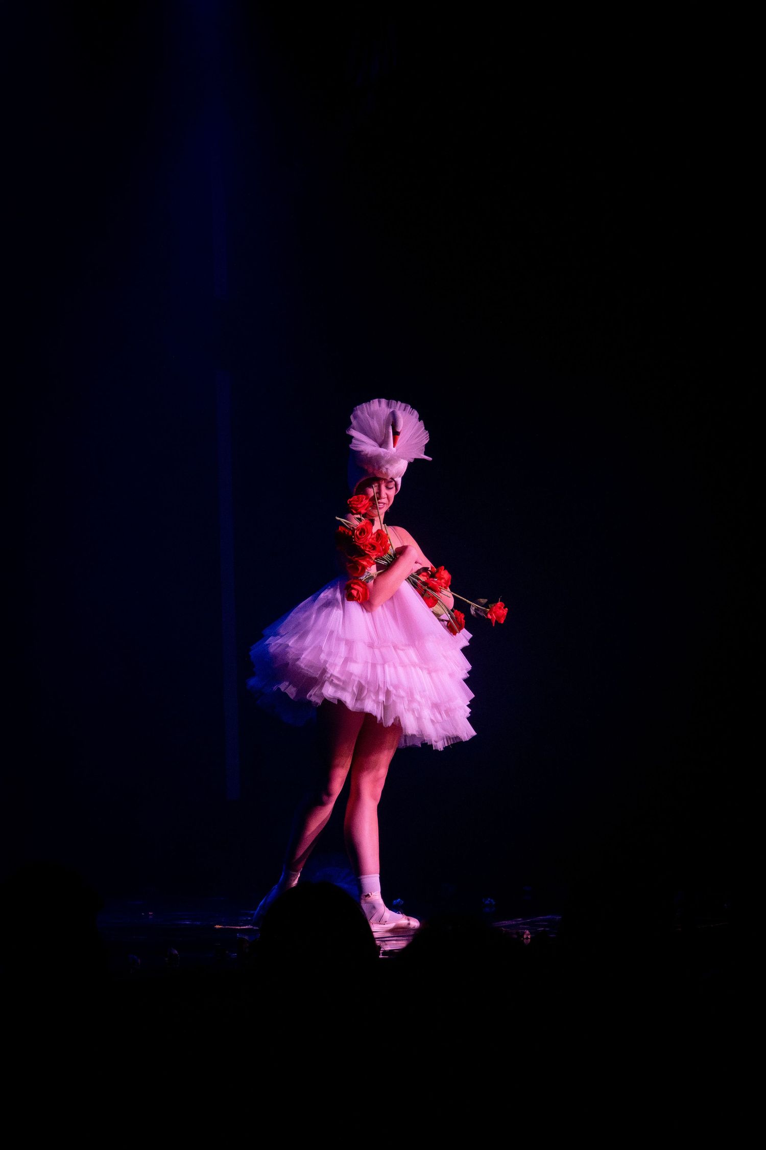 Silhouette of ballerina in pink tutu holding red flowers during stage performance.