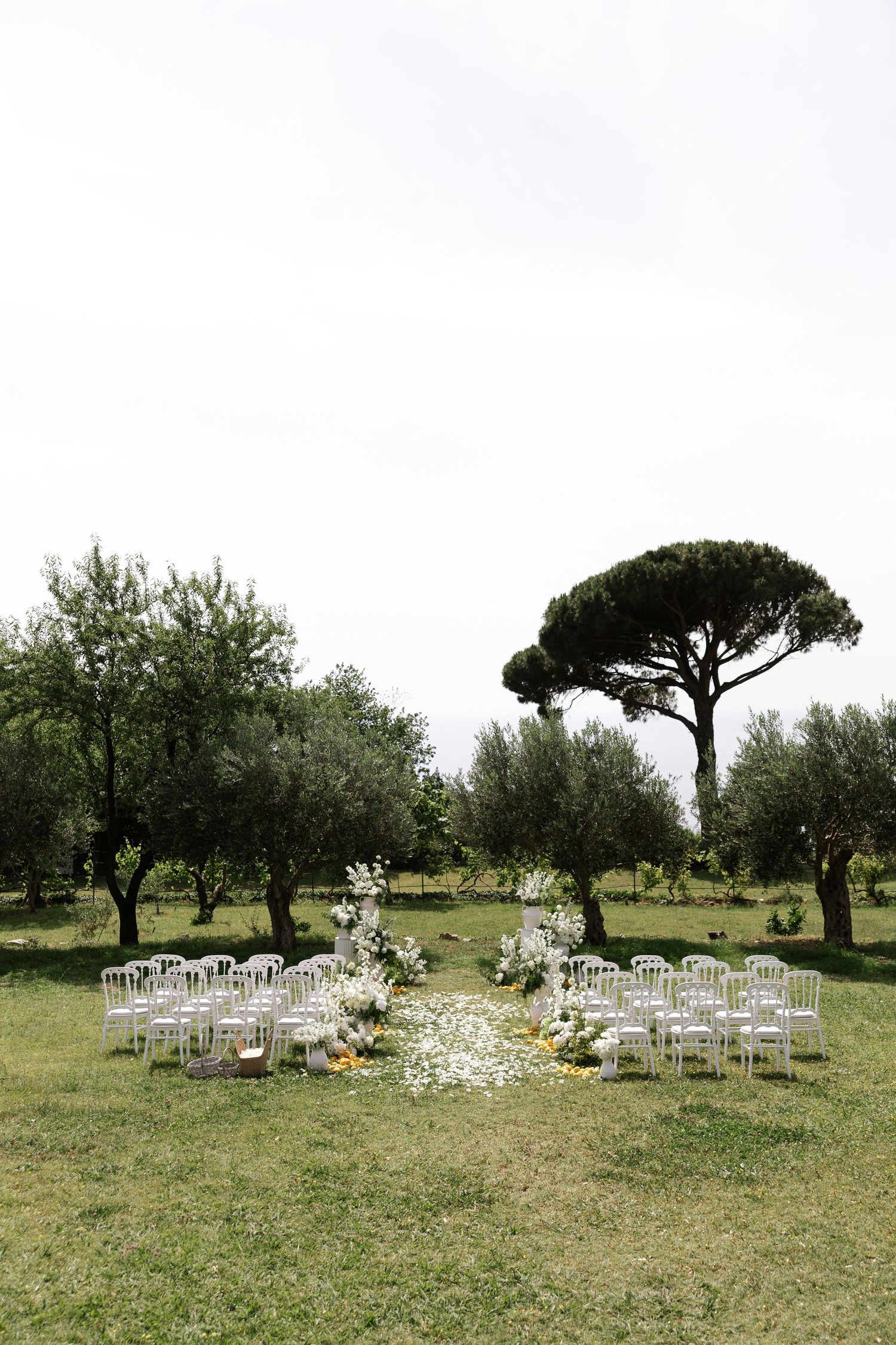 Rustic outdoor wedding ceremony setup with white chairs arranged on grassy field under scattered olive trees.