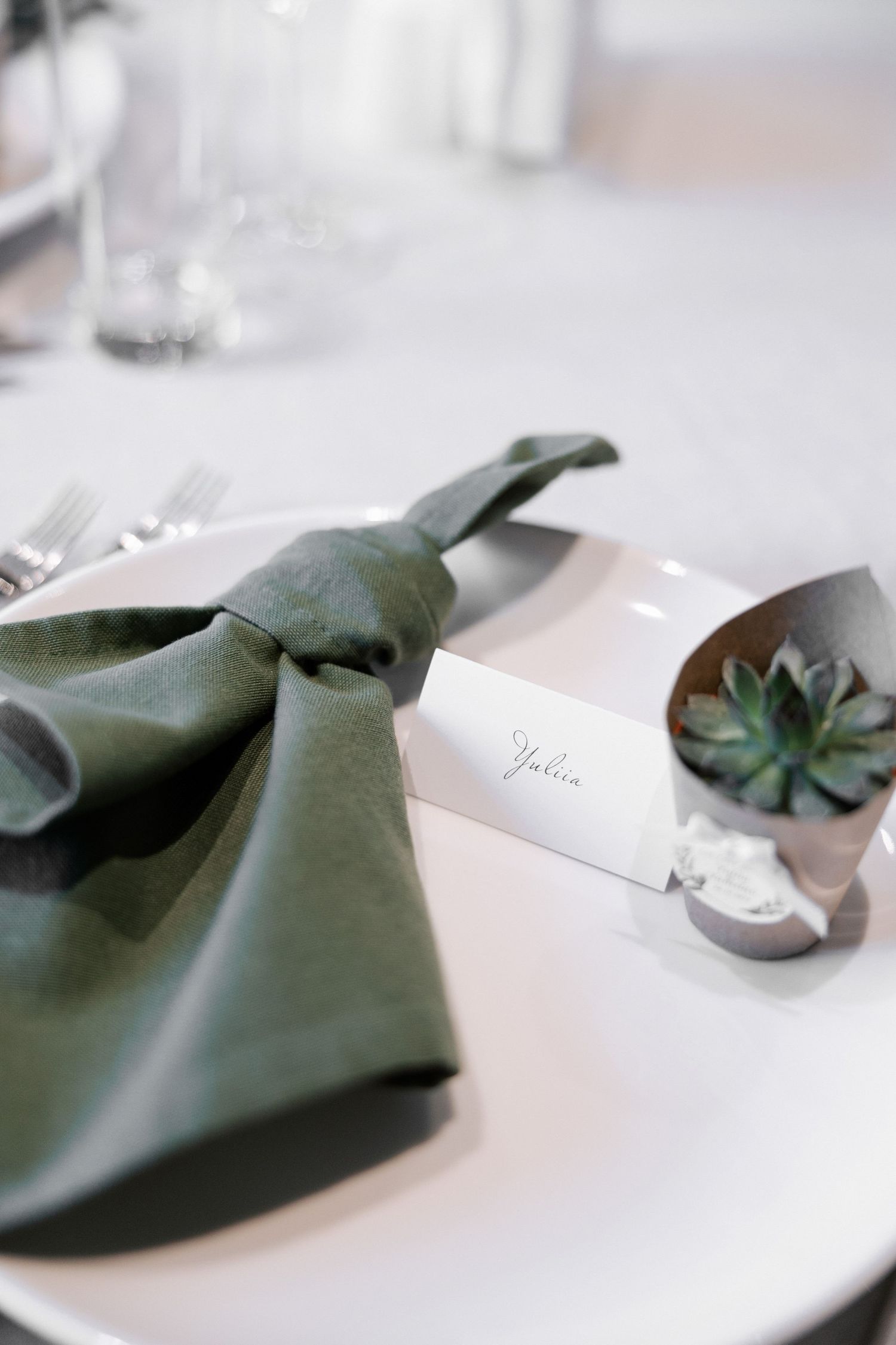 Elegant table setting with sage green napkin and small succulent decoration.
